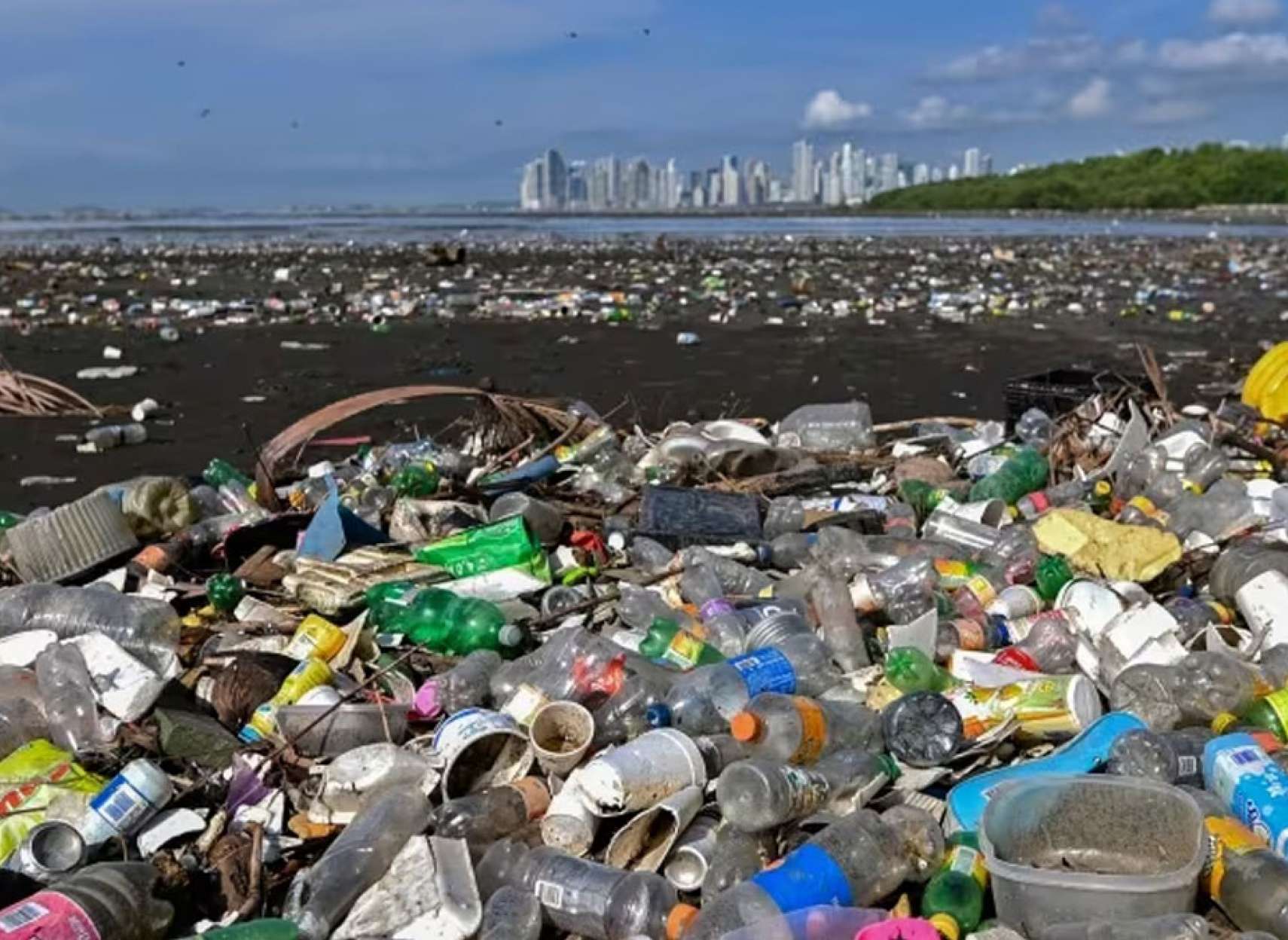 حکم-دادگاه-فدرال-قانون-اعلان-سمی-اقلام-پلاستیکی-دولت-کانادا-غیر-معقول-قانونی