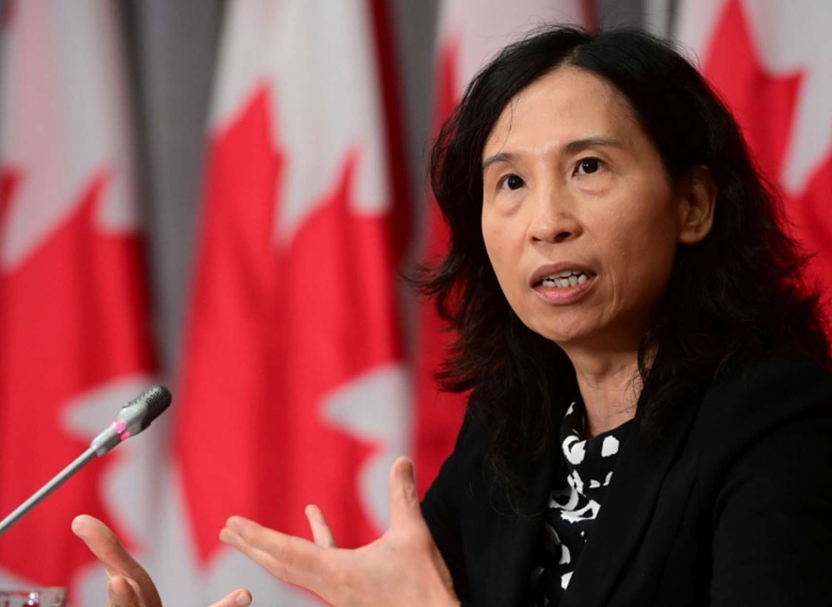 خبر-کانادا-آمار-عجیب-امروز-آبله-میمونی-در-کانادا-طی-۹-روز-۵۹-جهش-کرد