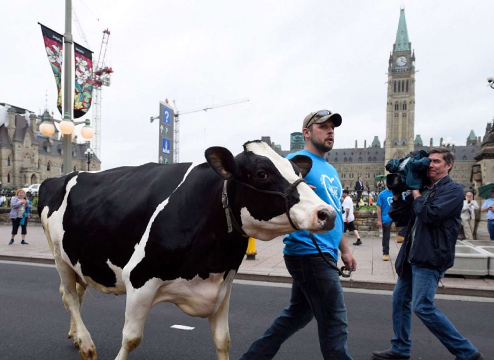 خبر-کانادا-آمریکا-کانادا-حکم-دادگاه-دعوا-محصولات-لبنی-شیر-پنیر-ماست-ادعای-پیروزی-کردند