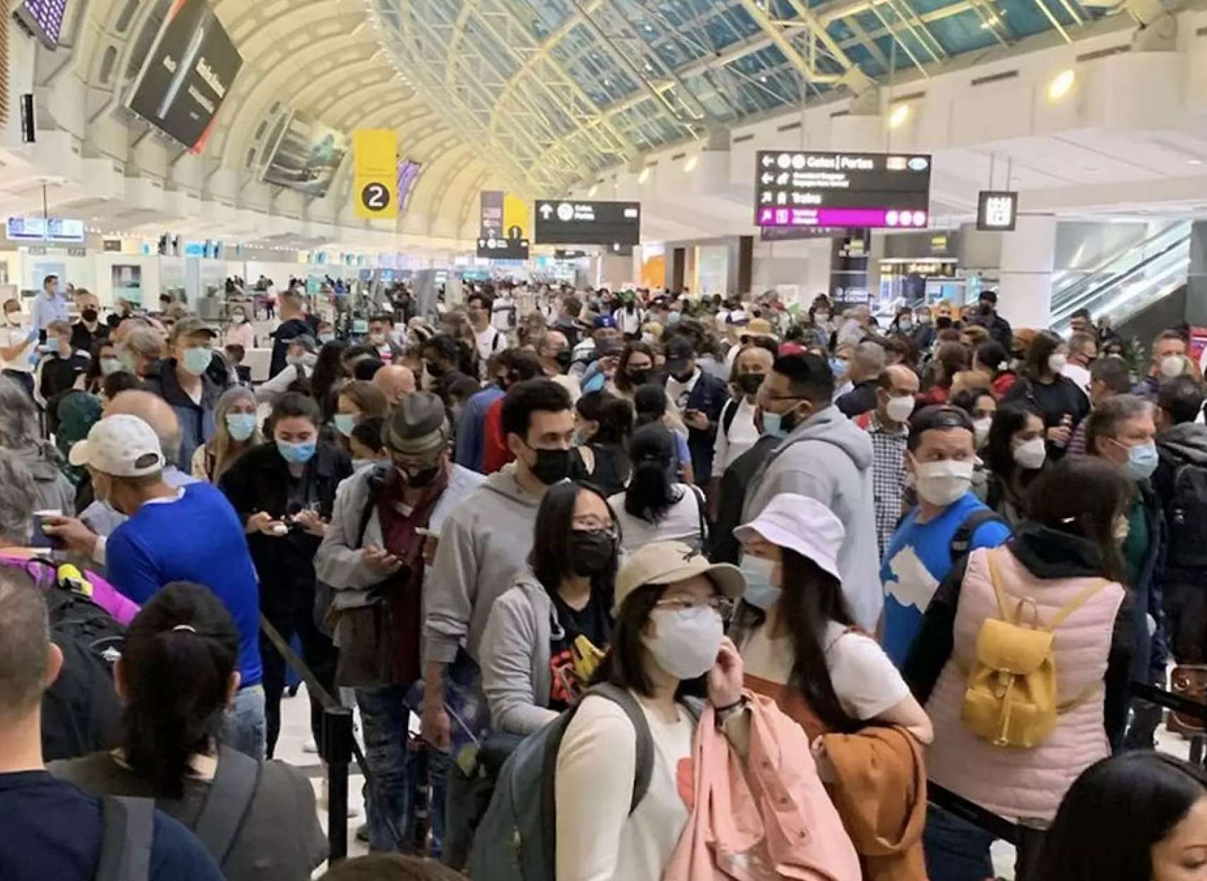 خبر-کانادا-افتضاح-صف-طولانی-۸-ساعت-معطلی-فرودگاه-تورنتو-چه-زمانی-برطرف-می-شود