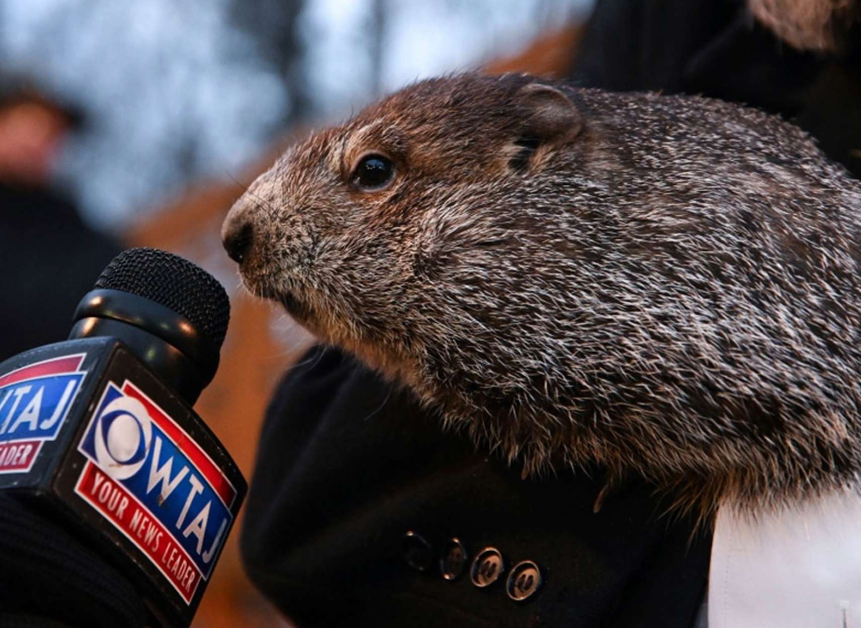 خبر-کانادا-تغییر-کرد-اعلان-خطر-وضعیت-اضطراری-هوا-امشب-شرق-دما-حداقل-منهای-۴۳-درجه-پس-فردا