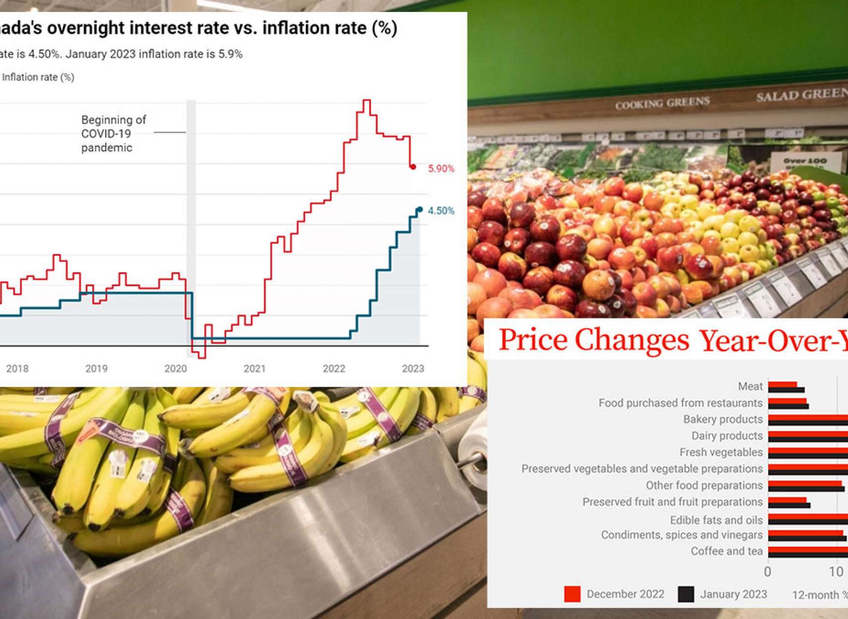 خبر-کانادا-تورم-افت-کرد-نرخ-بهره-قیمت-خواربار-چه-زمانی-پایین-می-آید