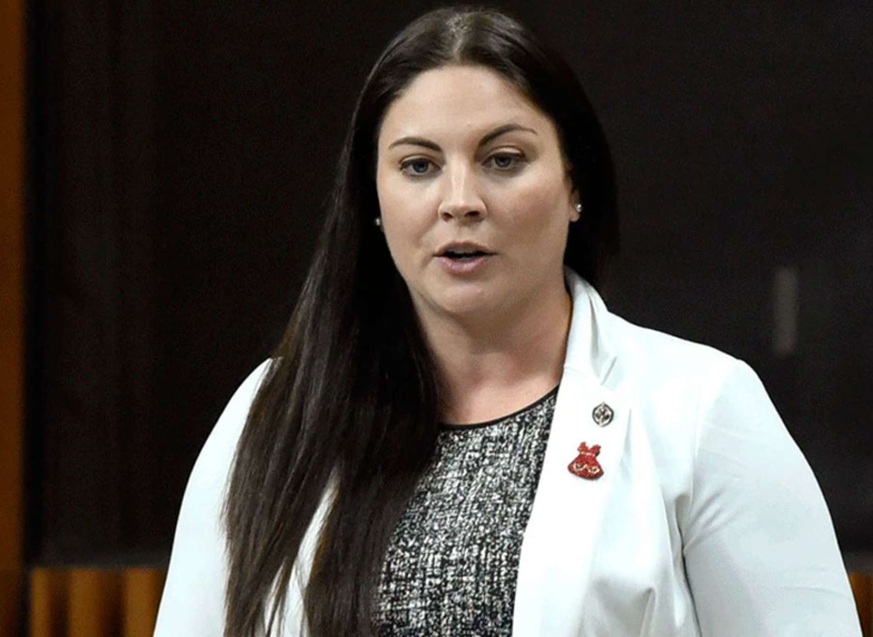 خبر-کانادا-حزب-سبز-کانادا-یک-شبه-یک-سوم-کرسی-هایش-را-از-دست-داد