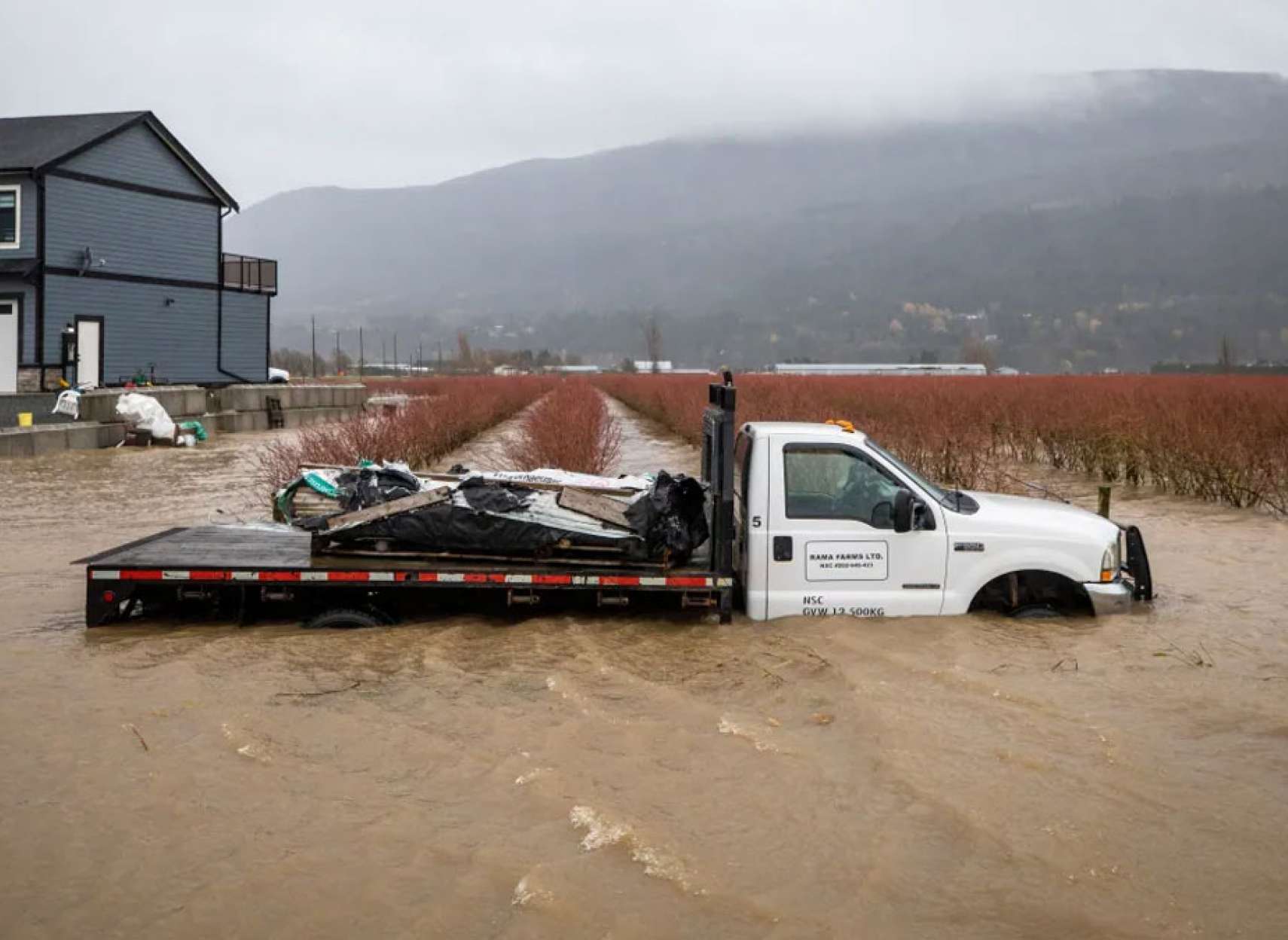 خبر-کانادا-هوای-شرق-تا-غرب-کانادا-افتضاح-طوفان-۲۵-سانتی-متری-برف-جنوب-انتاریو