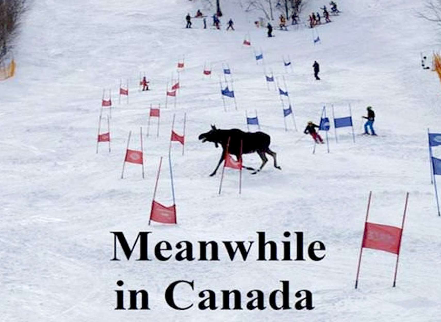 خبر-کانادا-پس-از-برف-سنگین-باران-یخی-سرما-هفته-گذشته-تورنتو-ونکوور-مونترال-هوا-چگونه