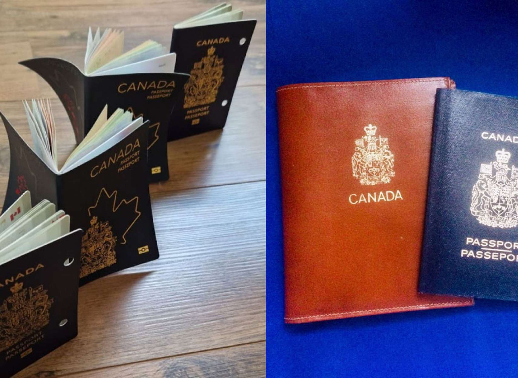 دولت-کانادا-پذیرفت-که-جلد-و-برگ-های-پاسپورت-های-طرح-جدید-خودبخود-پیچ-می-خورند