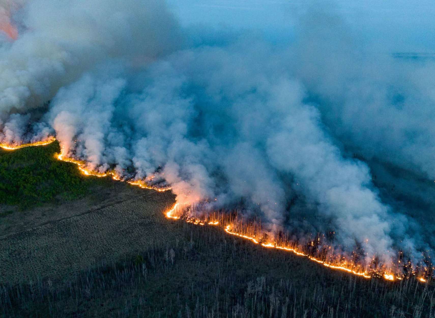 زمستان-شاهد-آتش-سوزی-جنگل-کانادا-رکوردشکنی-تاریخی--سوخته-امسال-به-اندازه-کشور-اسپانیا
