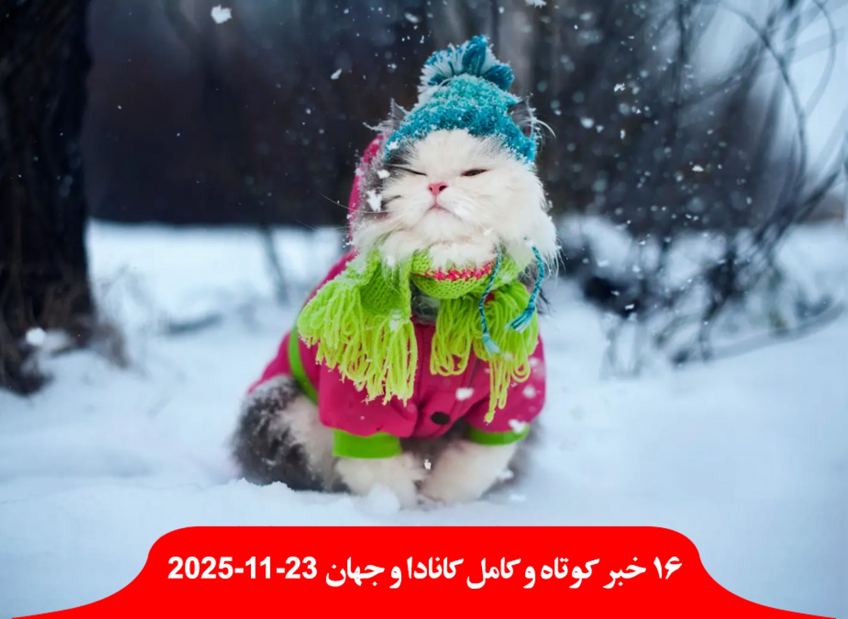 زمستان-کانادا-سرما-برف-آمد-رویترز-آمریکا-عملیات-نظامی-مخفیانه-مادورو-ونزوئلا-سرنگون-کشمکش-آمریکا-اوکراین-اروپا-صلح-روسیه