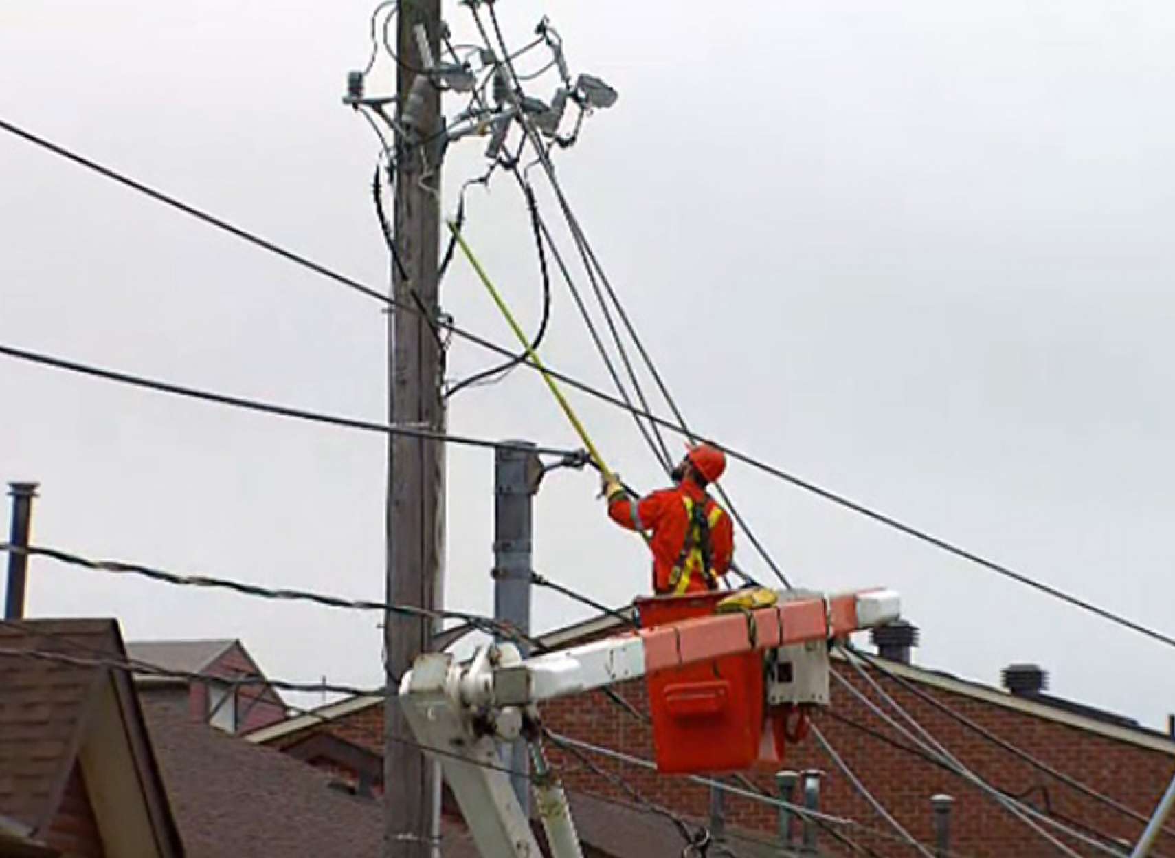 سنجابی-که-برق-یک-منطقه-را-قطع-کرد-تورنتو-اخبار