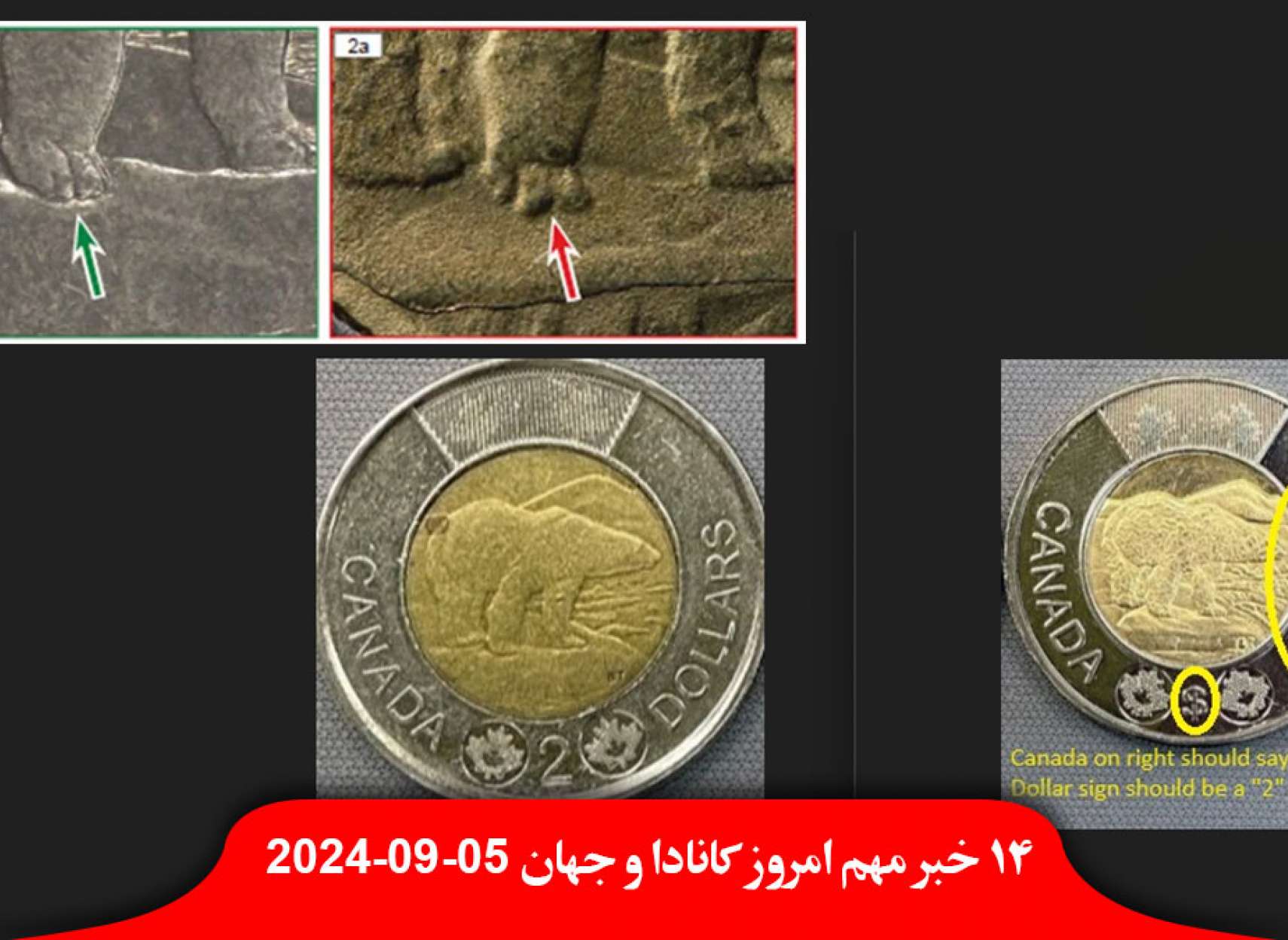 کانادایی-سکه-تقلبی-۲-دلاری-دستگیر-هانتر-پسر-جو-بایدن-دادگاه-جرم-فرار-مالیاتی-میلیونی-اعتراف-ترکیه-عضویت-بریکس