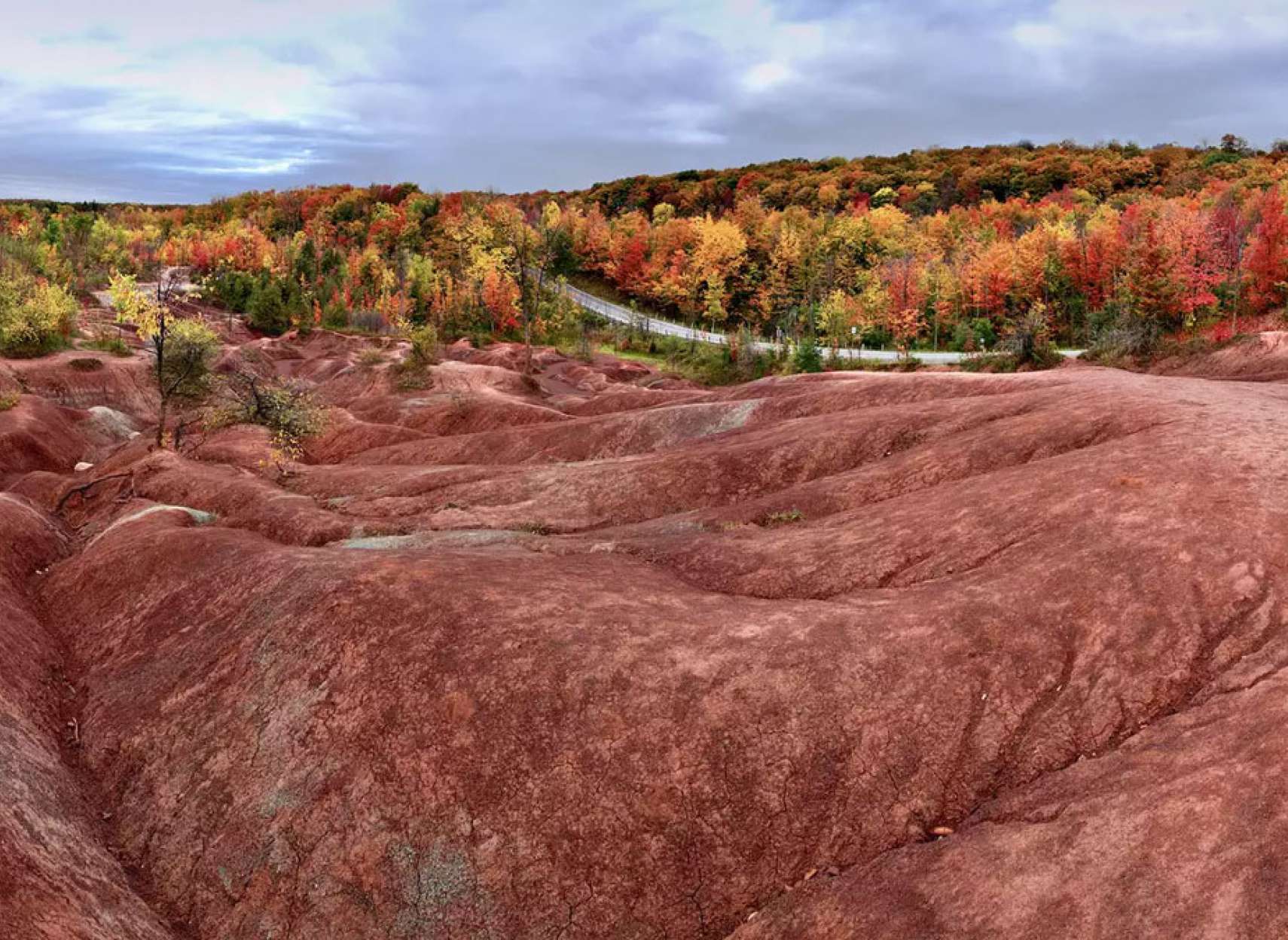 گردشگری-تورنتو-ده-نقطه-پائیزی-اطراف-تورنتو-که-با-اتوبوس-و-پیاده-می-توانید-بروید