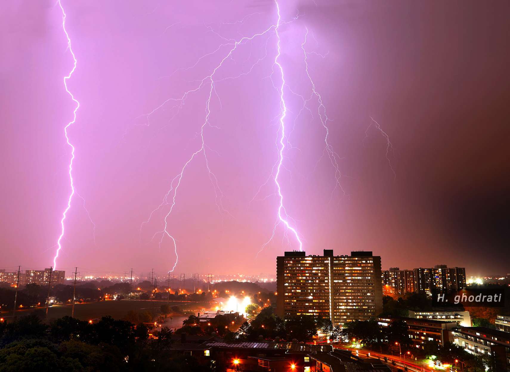 آذرخش‌هایی چون ریشه