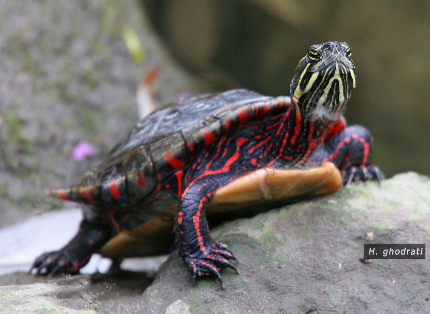 بجا مانده از تاریخ