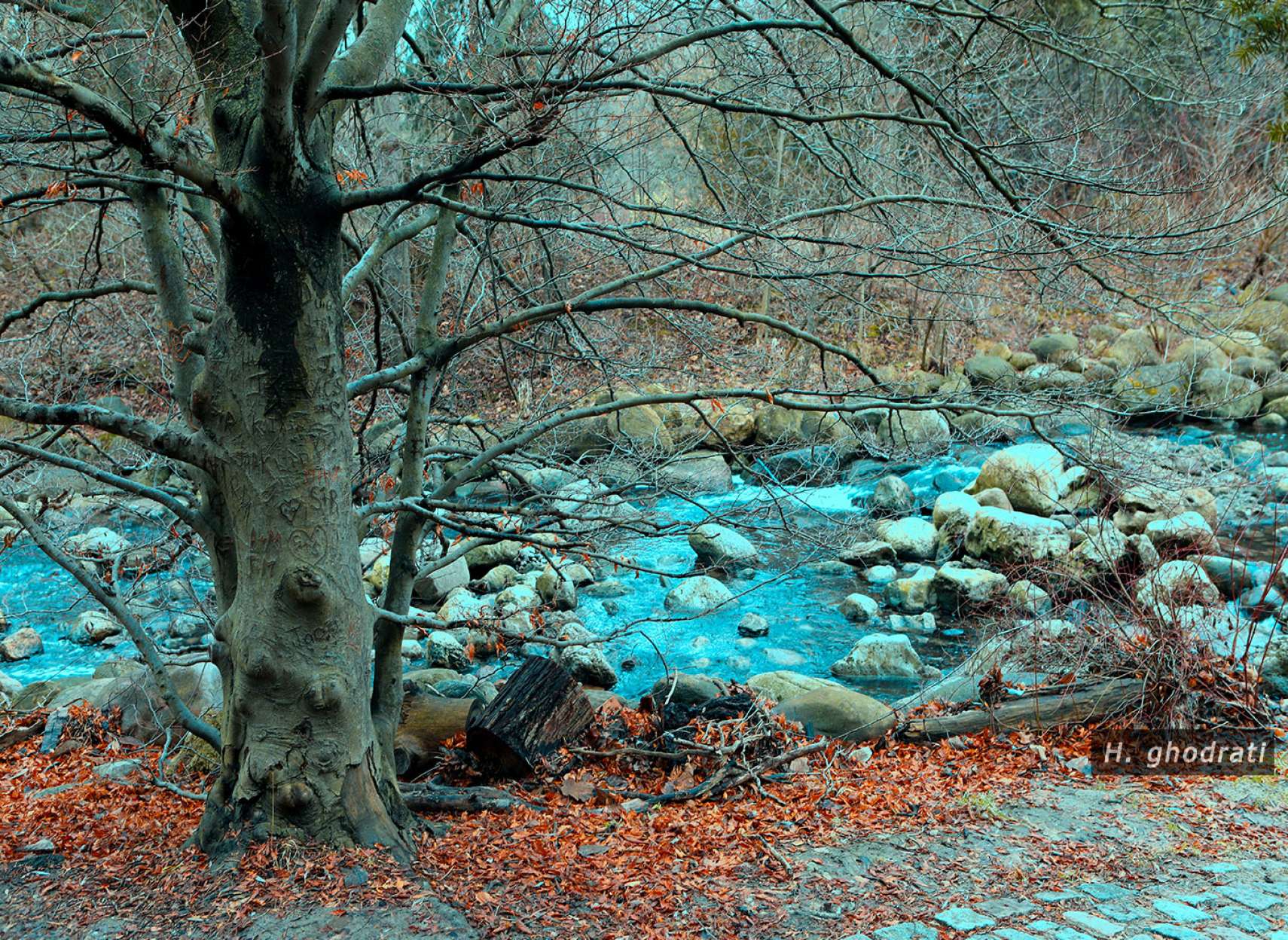 به رنگ فیروزه‌ای