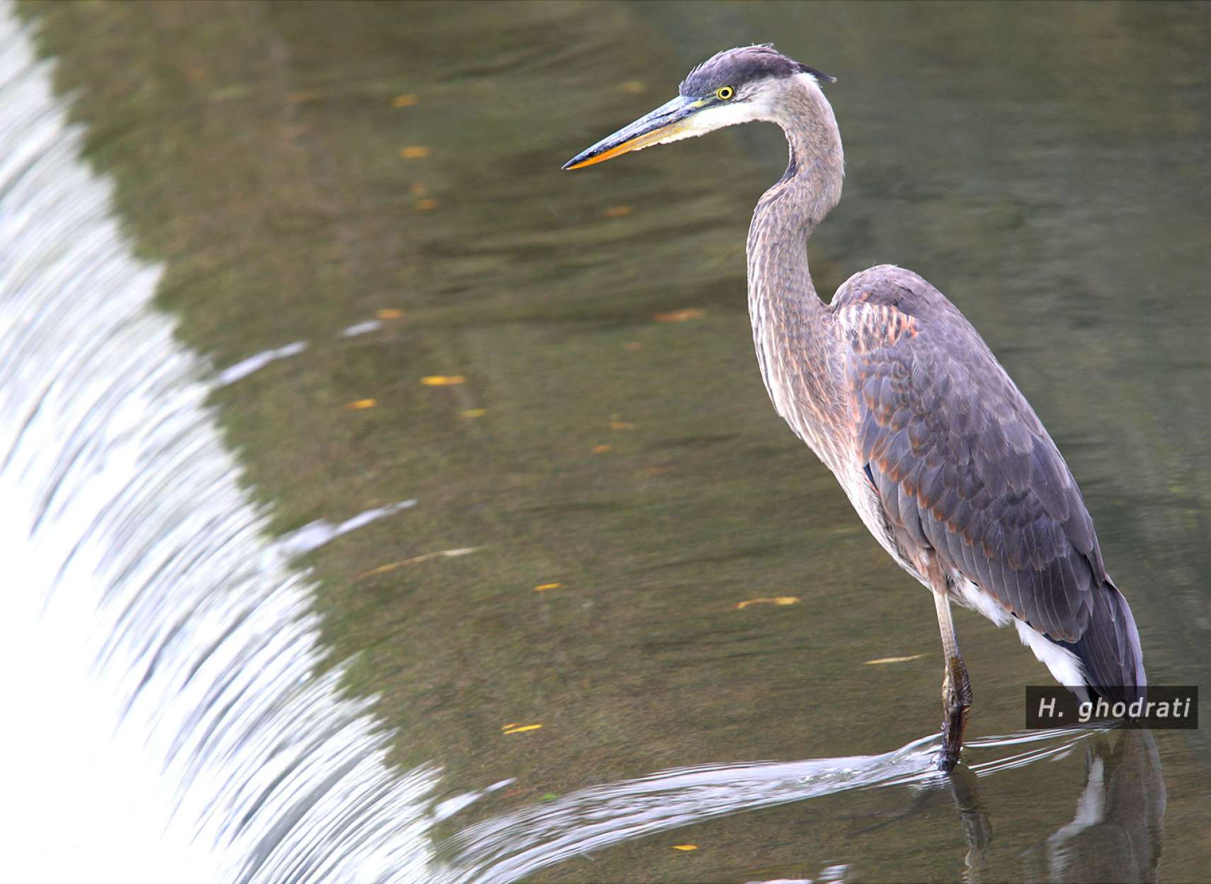 بر لبه آبشار