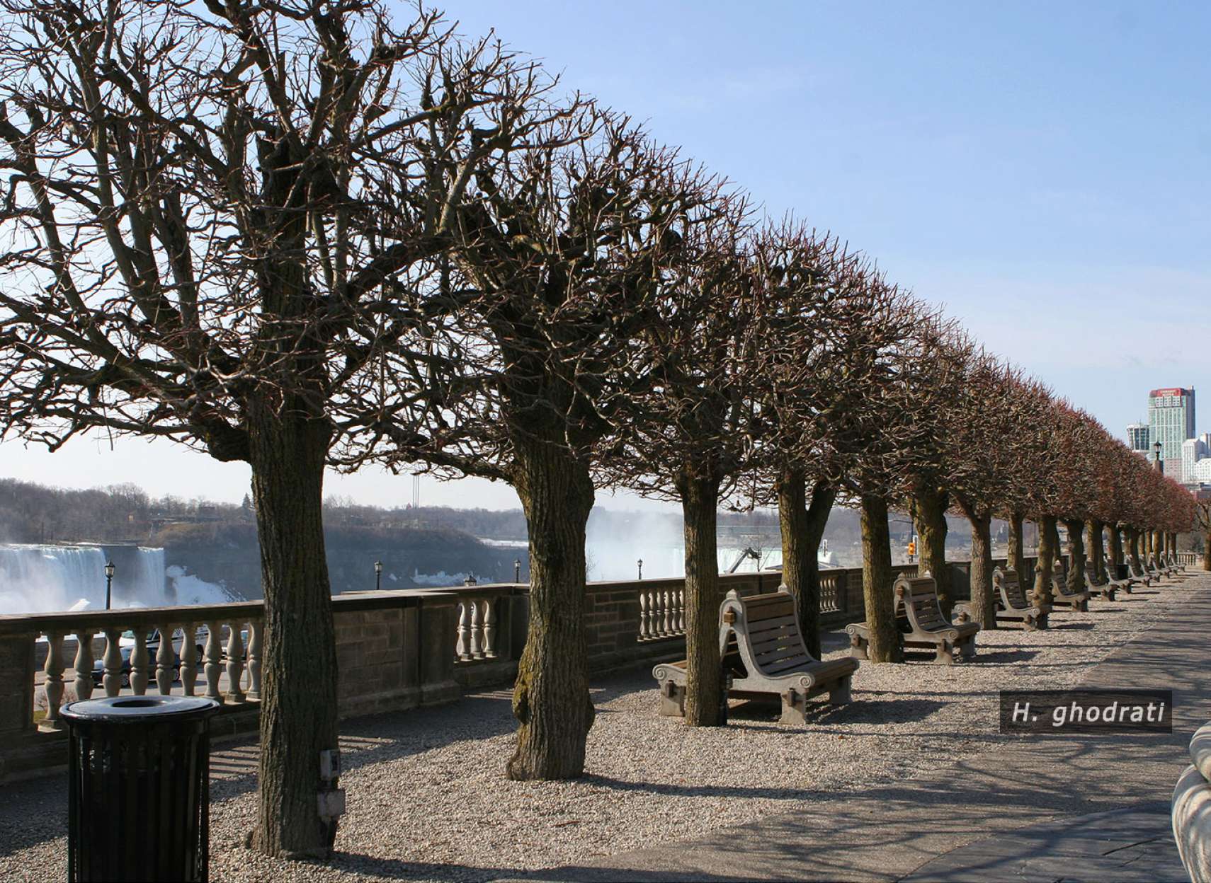 درختان آبشار نیاگارا پیش از بهار