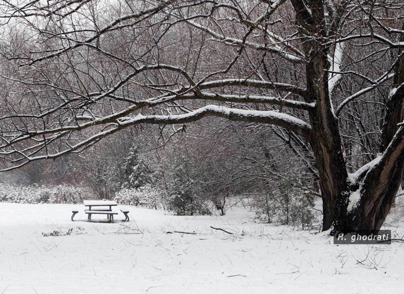 سری به پارکی در زمستان