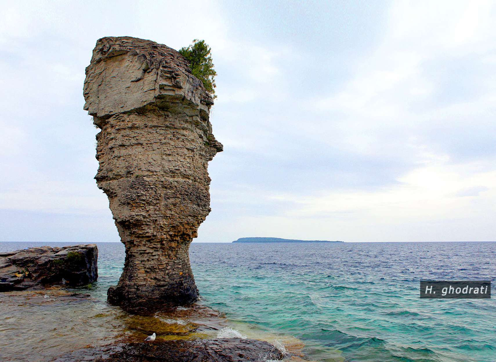 تنها بجا مانده