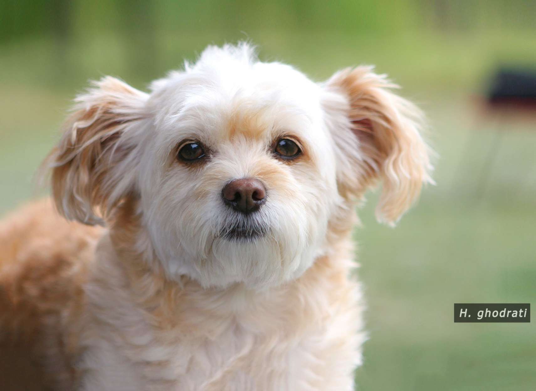 آرام و معصوم