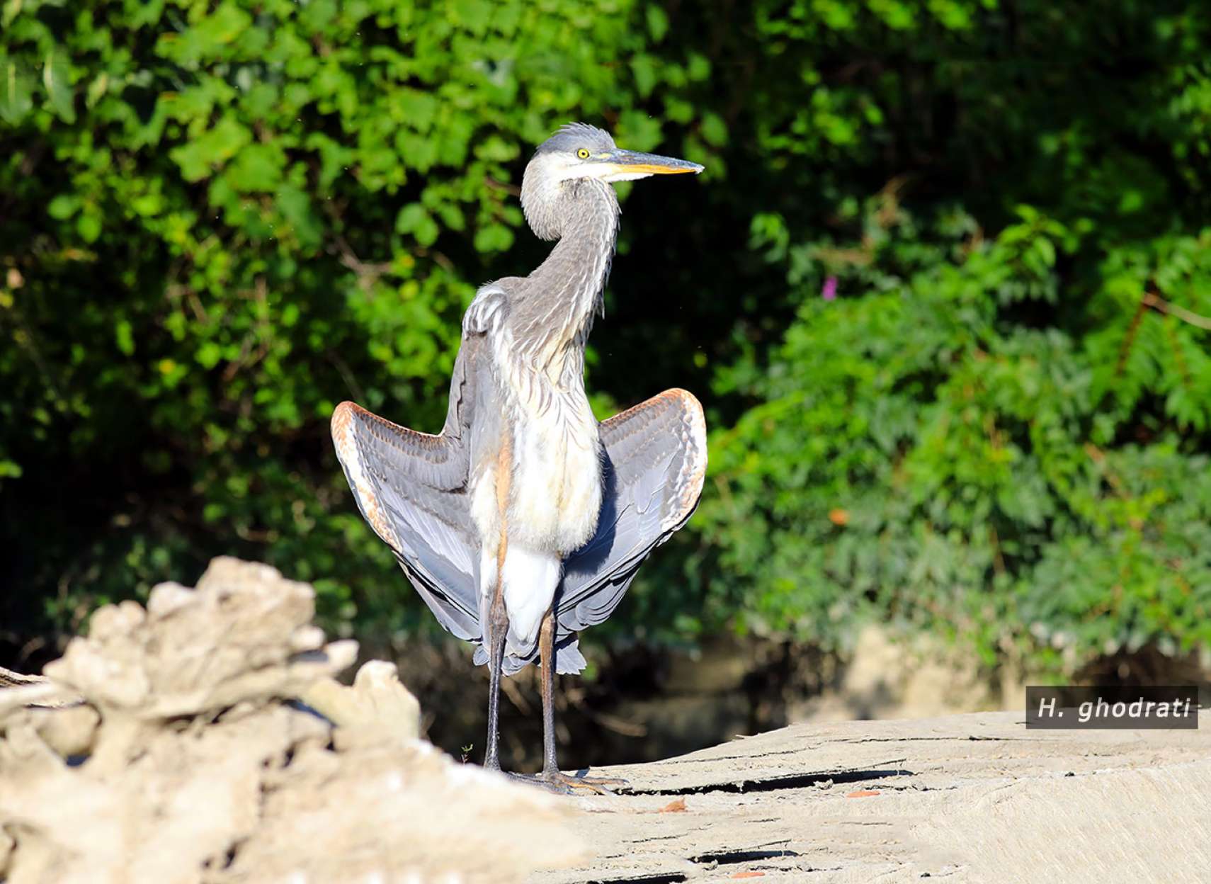 خشک کردن پس از شنا