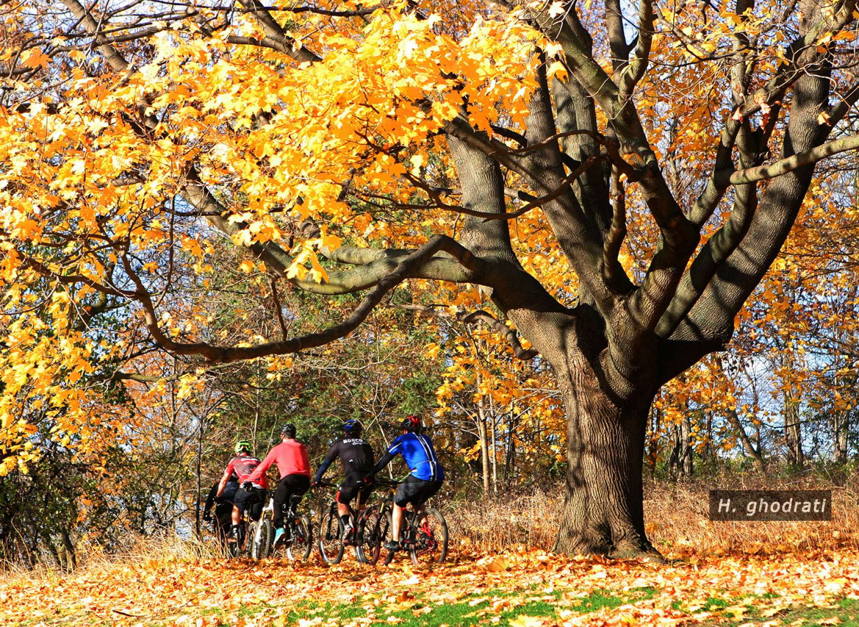 دوچرخه سواران پائیزگرد