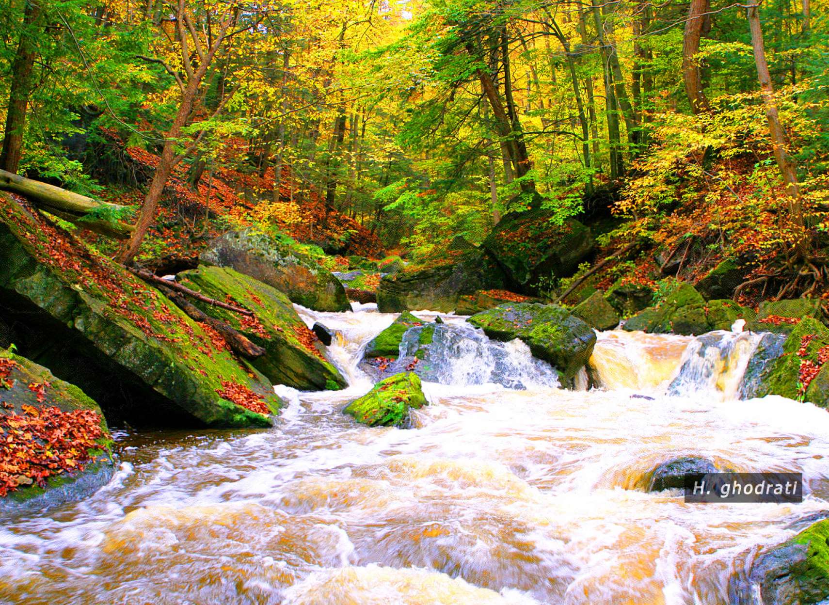 ورود پائیز به رودخانه