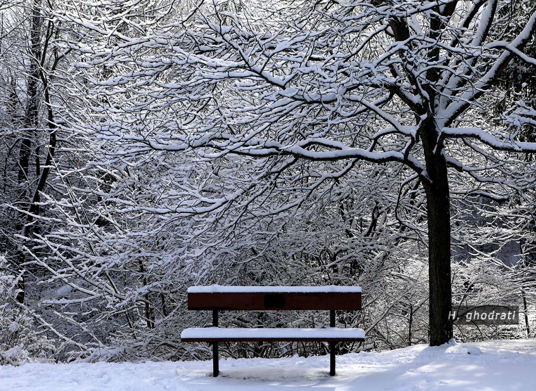 اولین برف سفید کننده