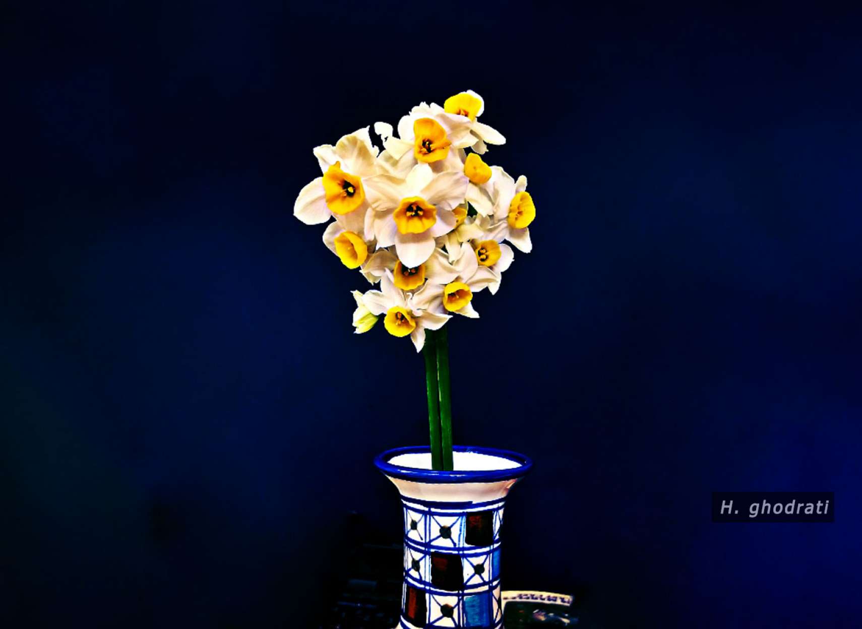 گل و گلدان و زمینه آبی