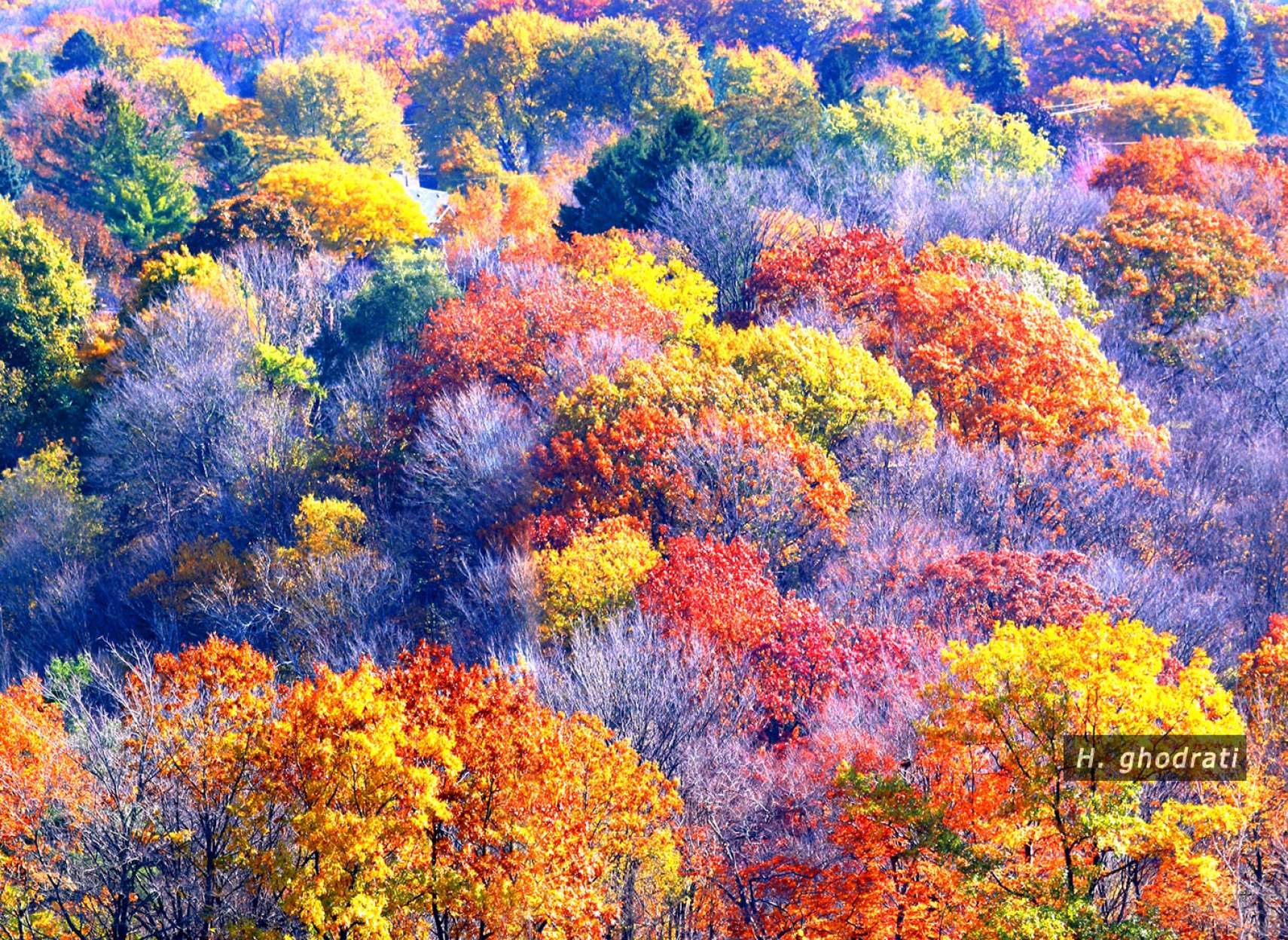 صدای پای رنگ پائیز