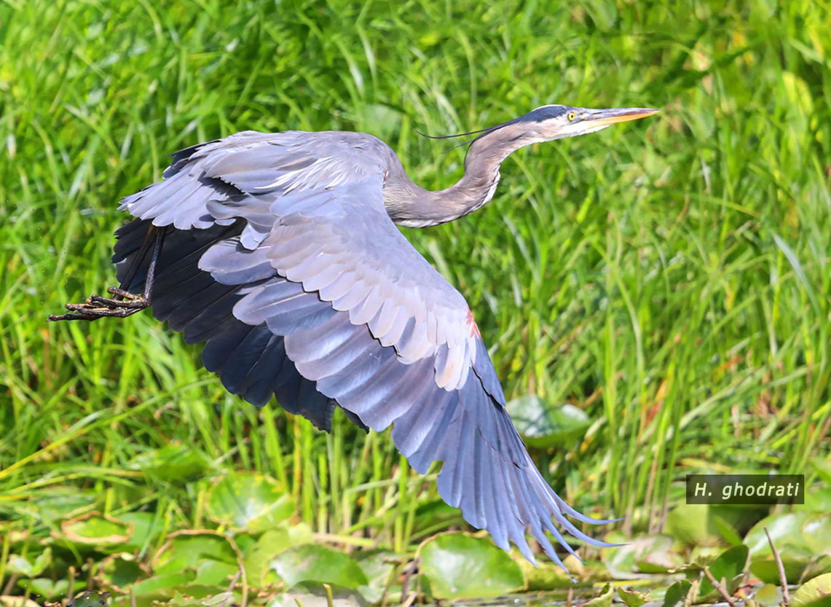 به سوی آسمان