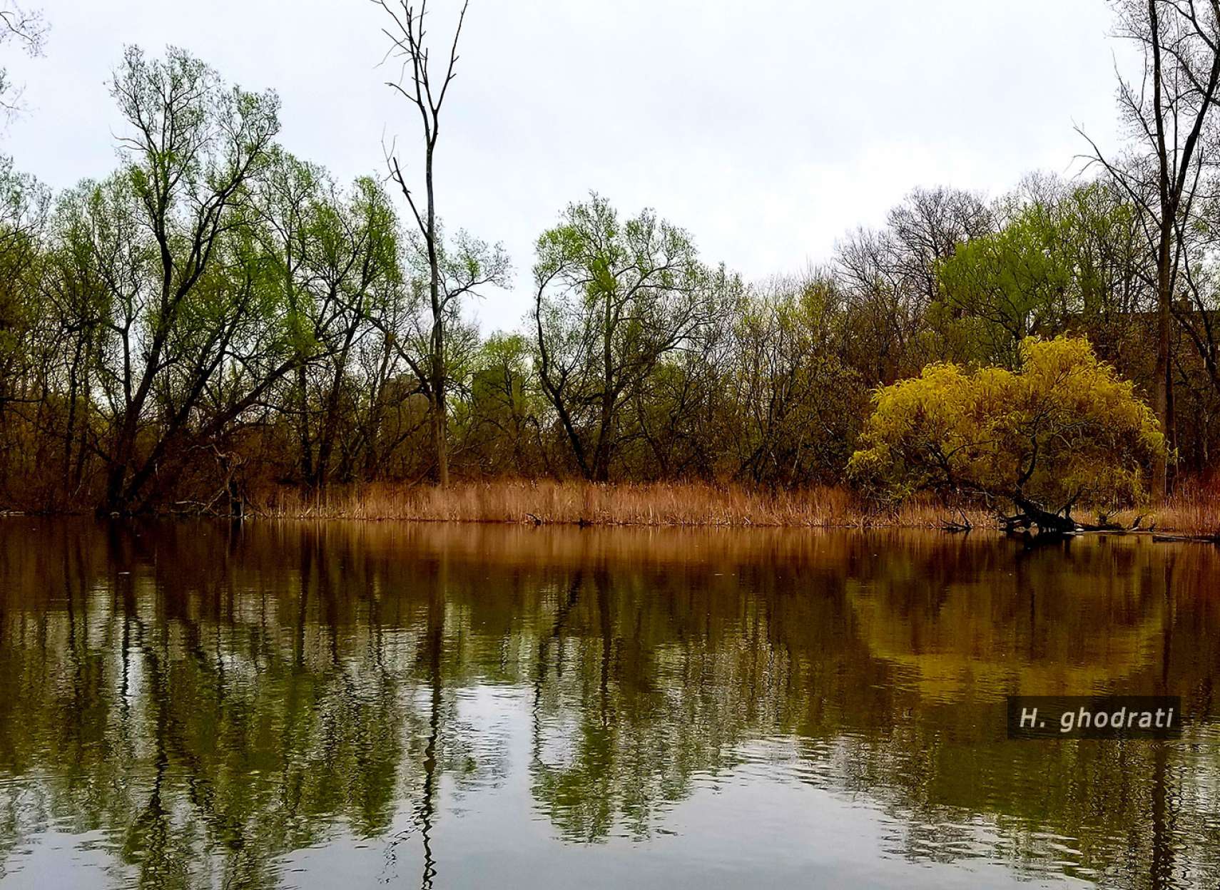 آخرین روزهای پائیزی برکه