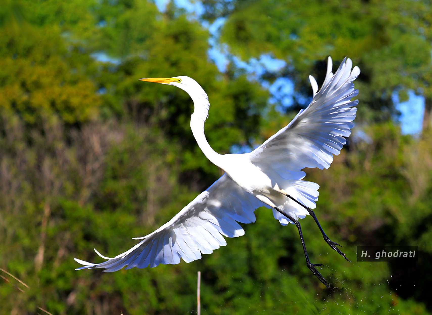 به هوا خاسته