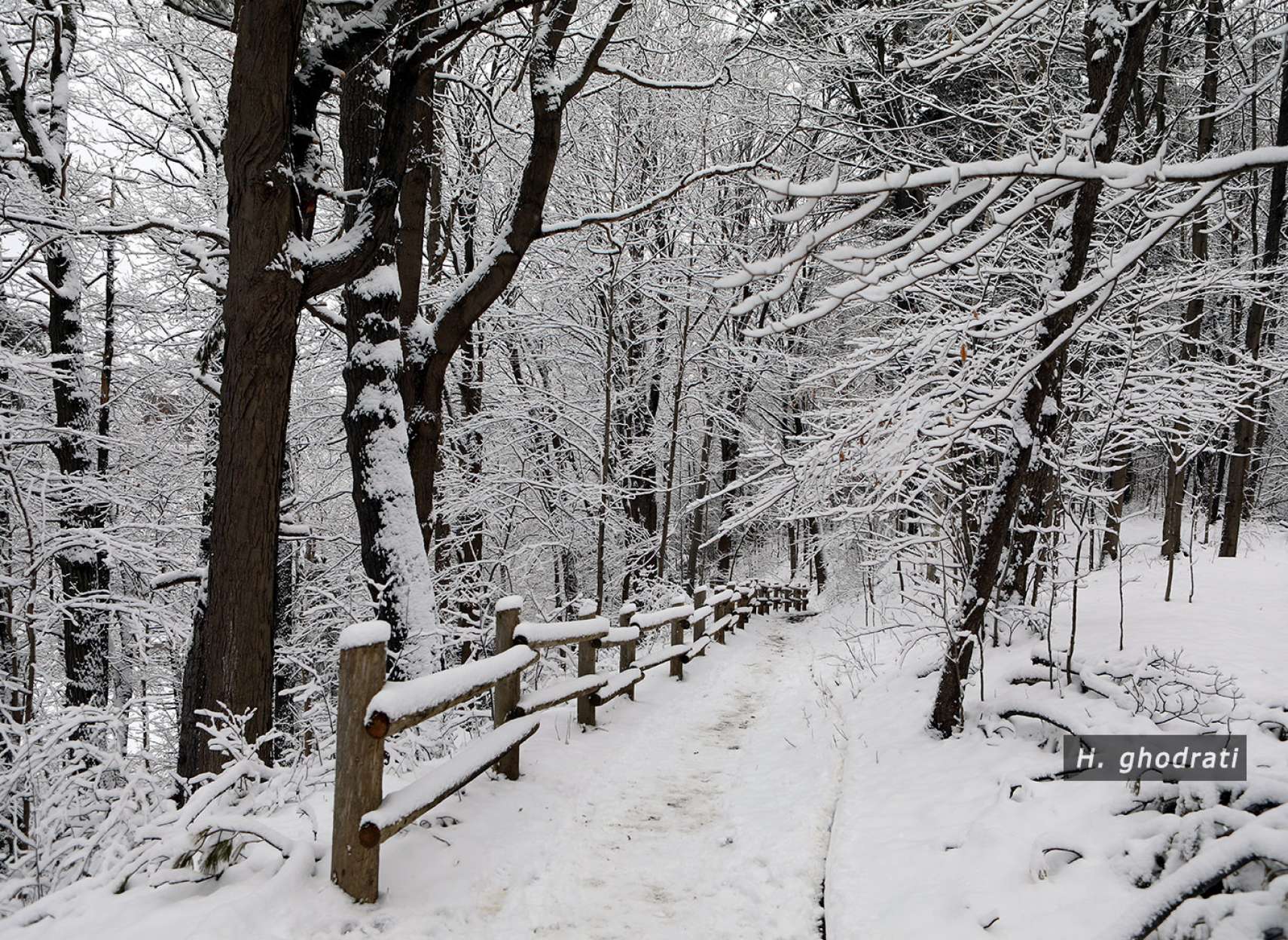 آن برف آمد و نشست