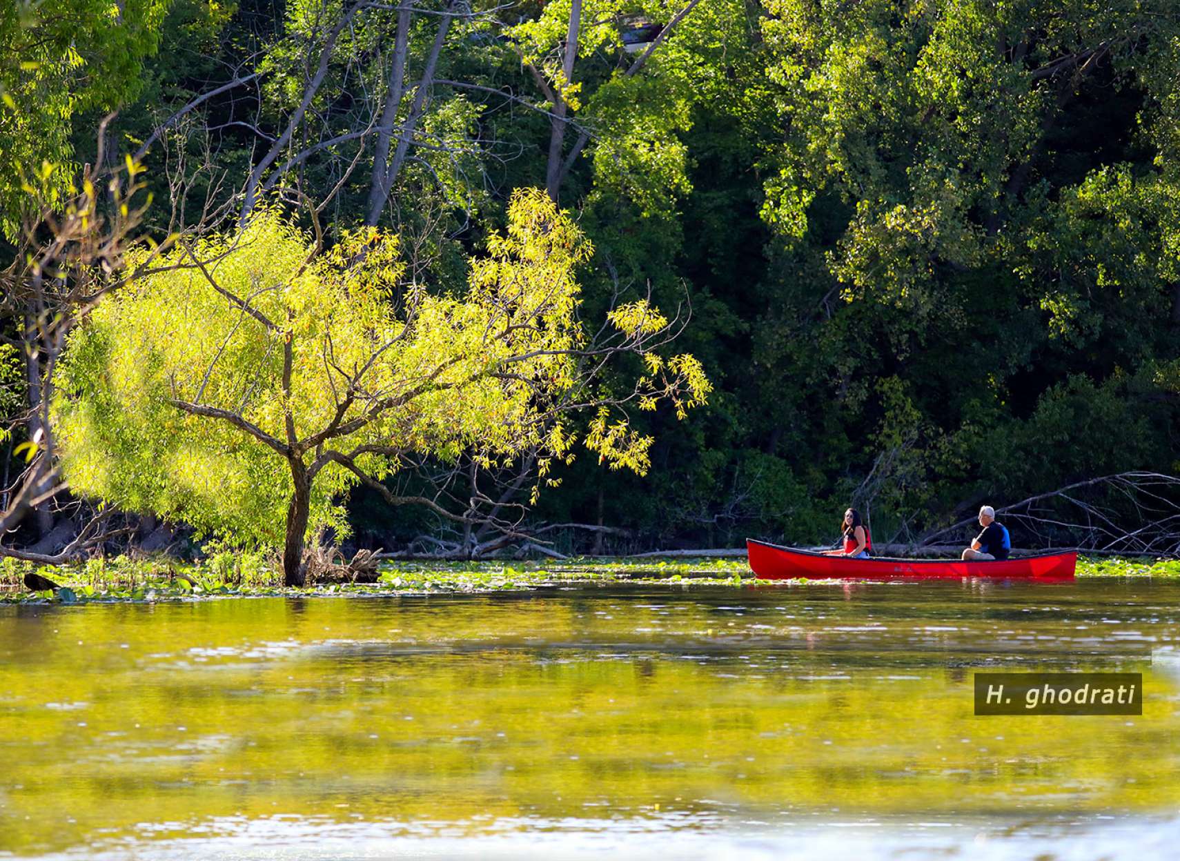 قایقرانی بهاره