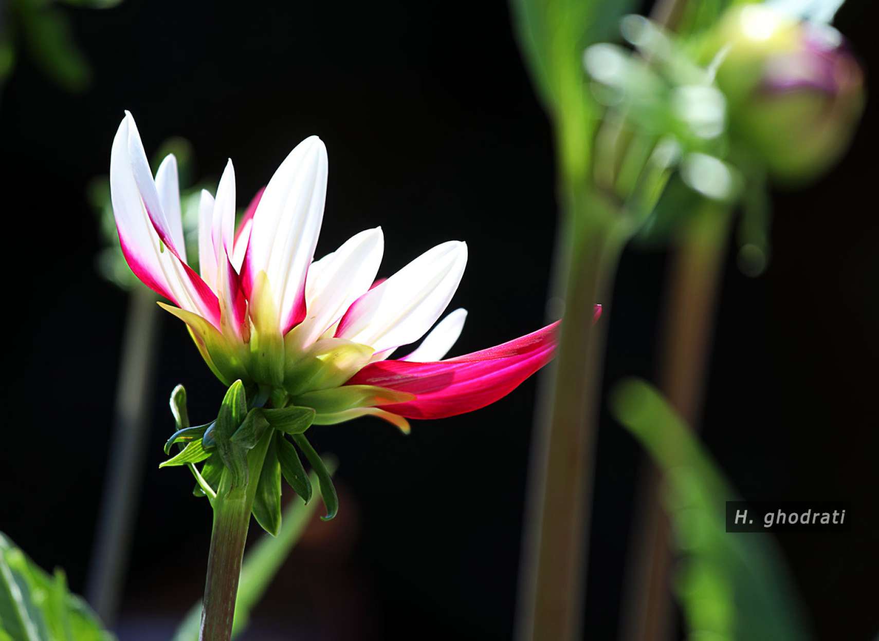 ایستاده رو به آسمان تاریک