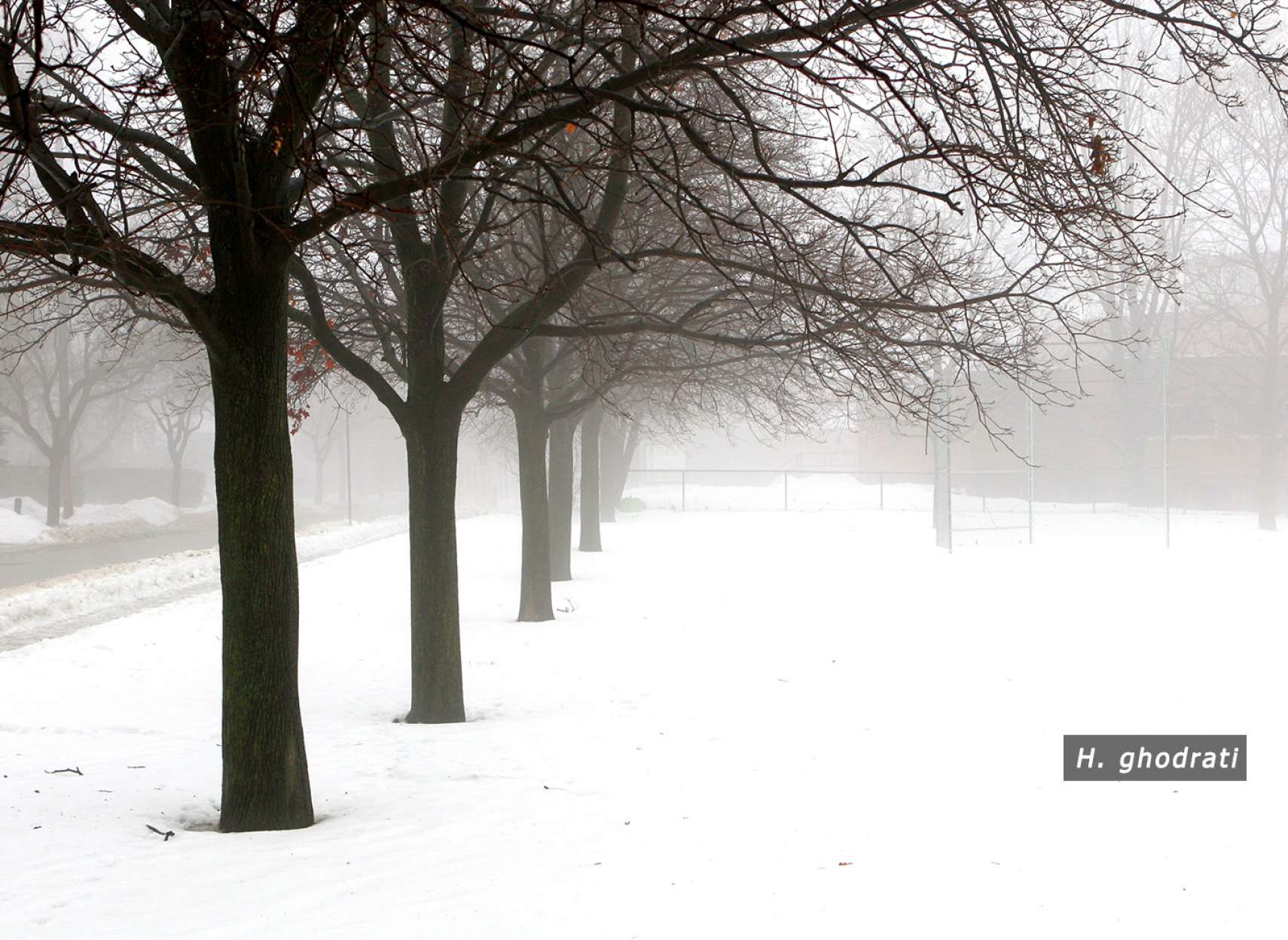 آن برف با باد آمد