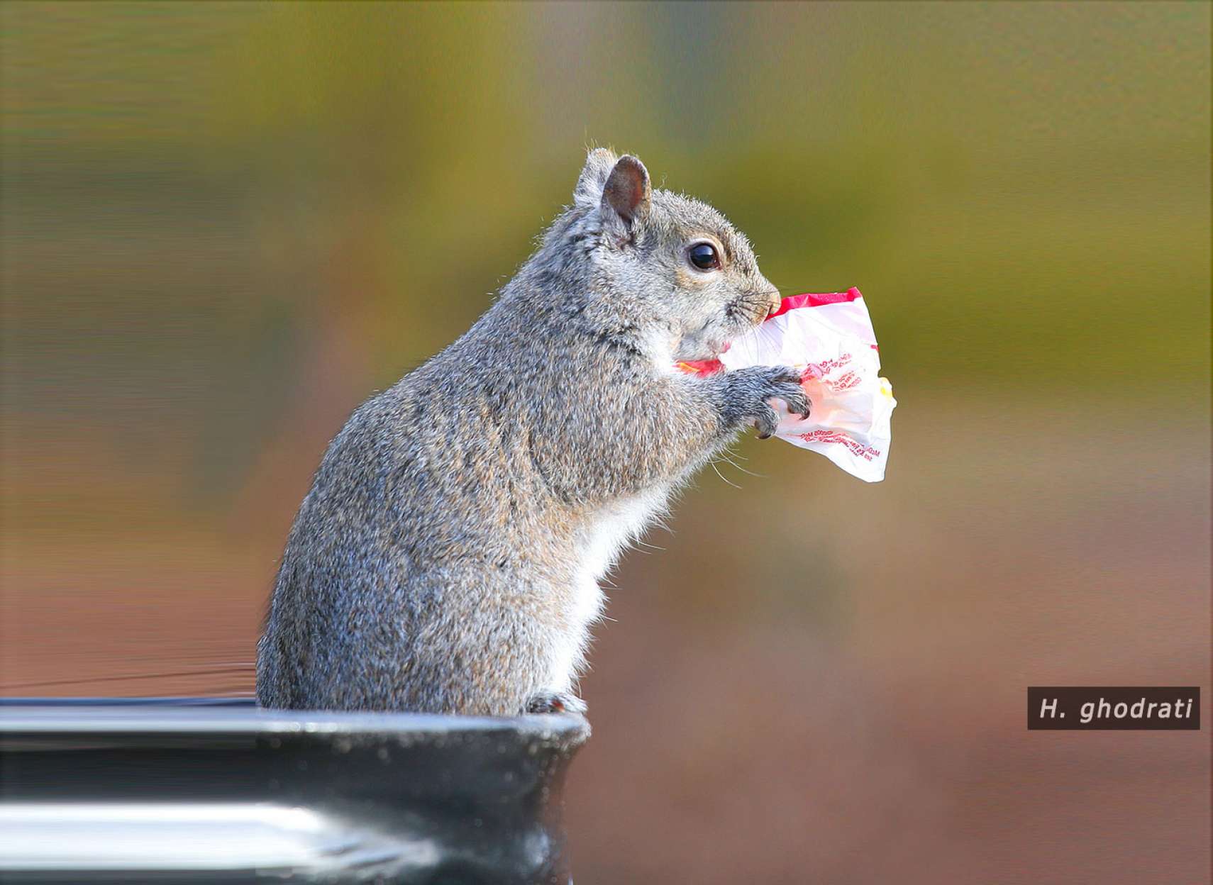 تشنه یا گرسنه؟