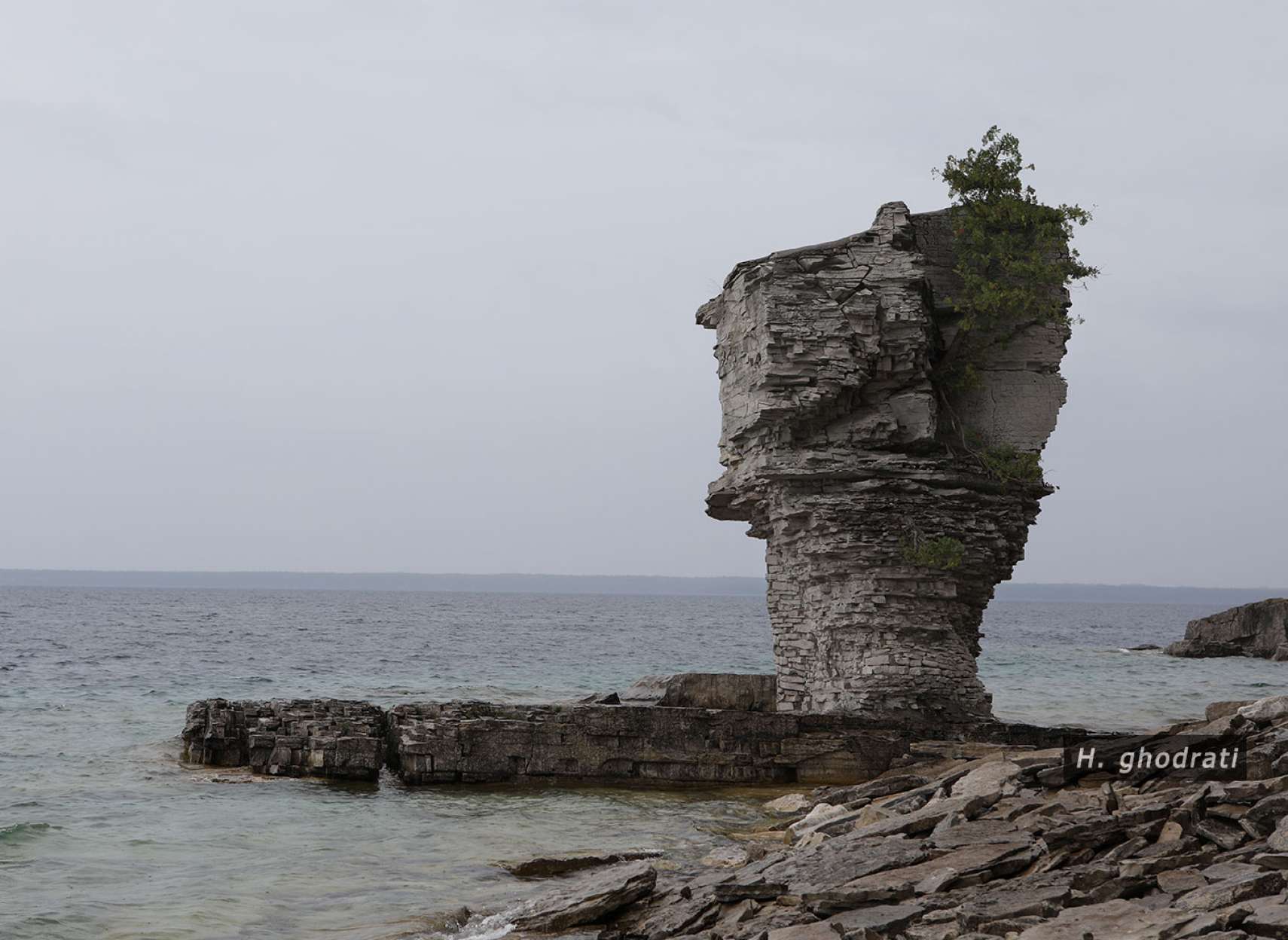 صخره گلدانی