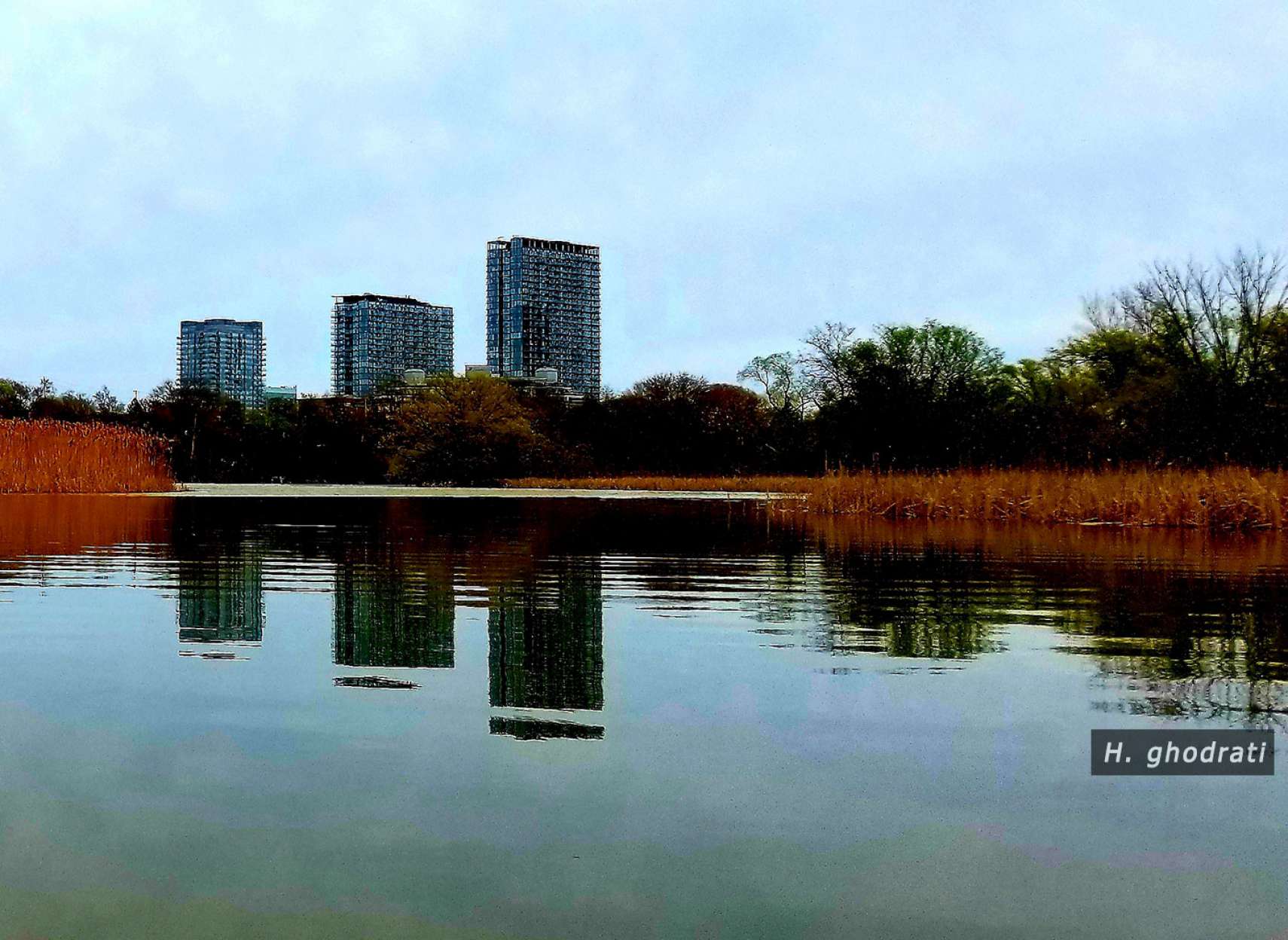 آب، درخت، آپارتمان