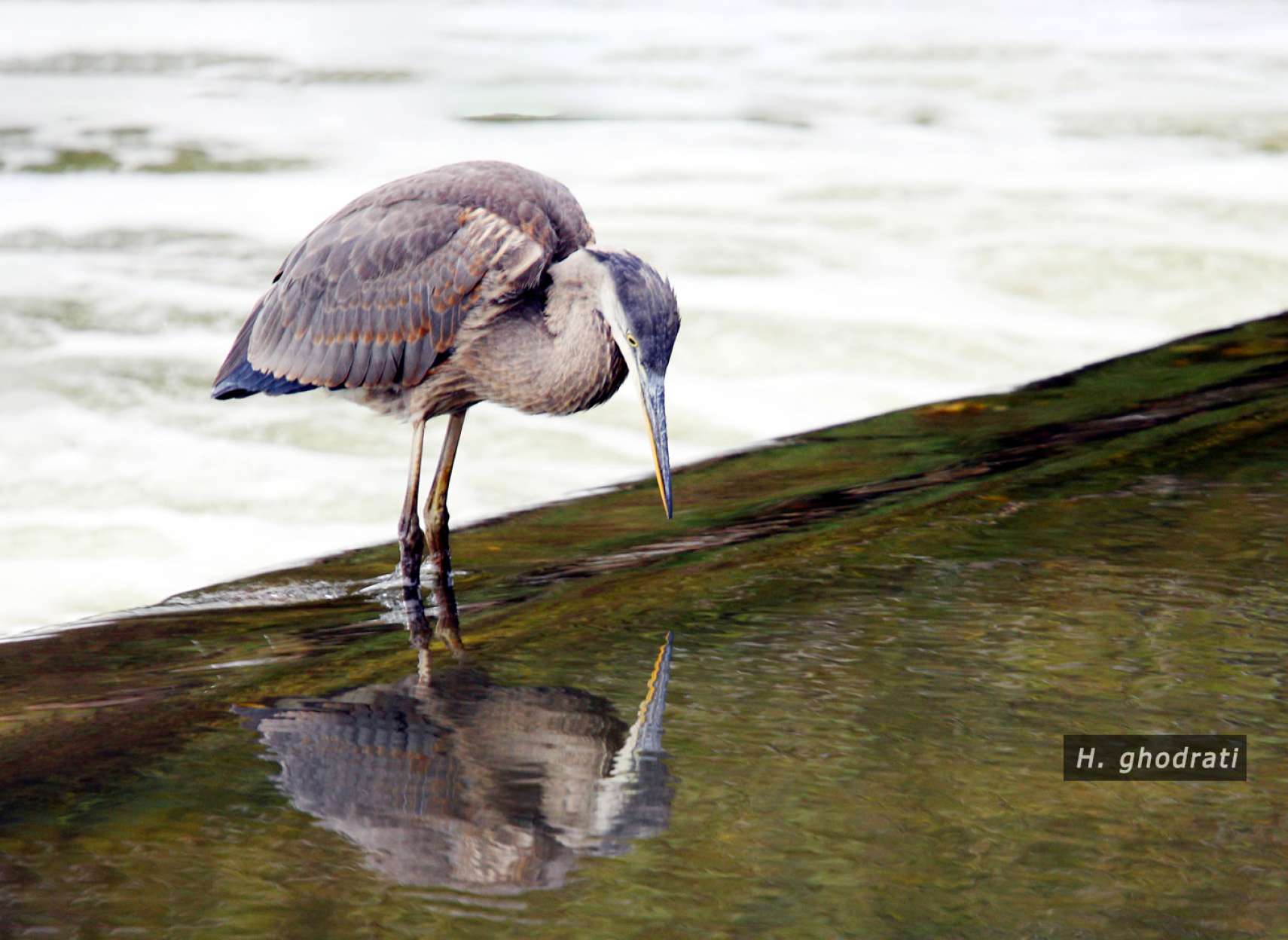 من در آن پیدا