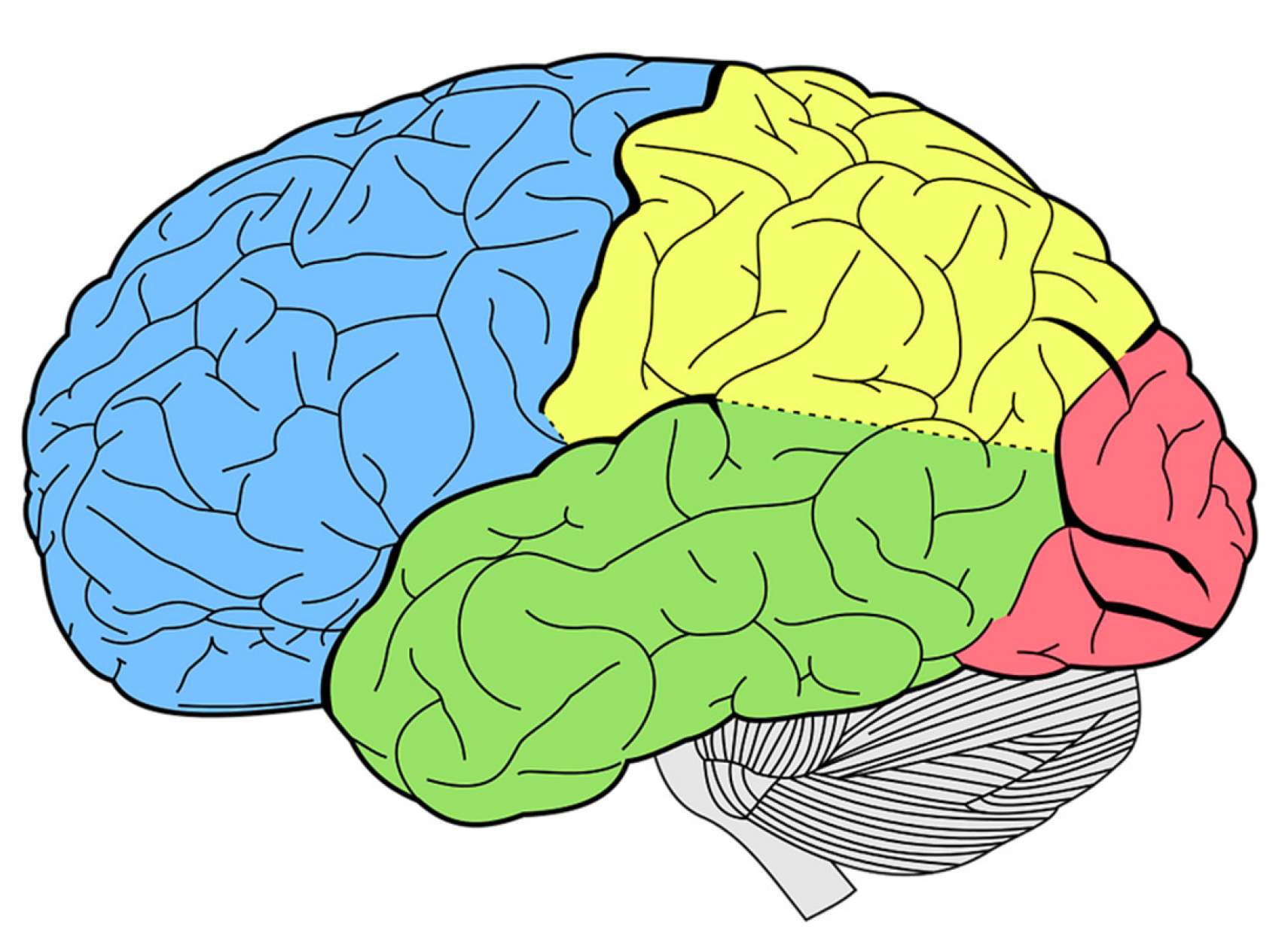 health-medical-music-maghz