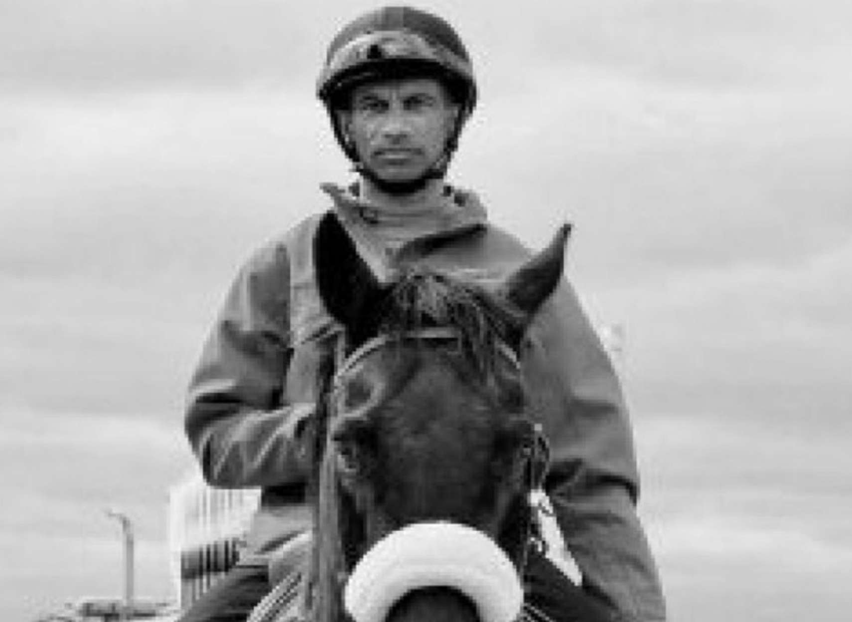 koshte-shodane-asb-savar