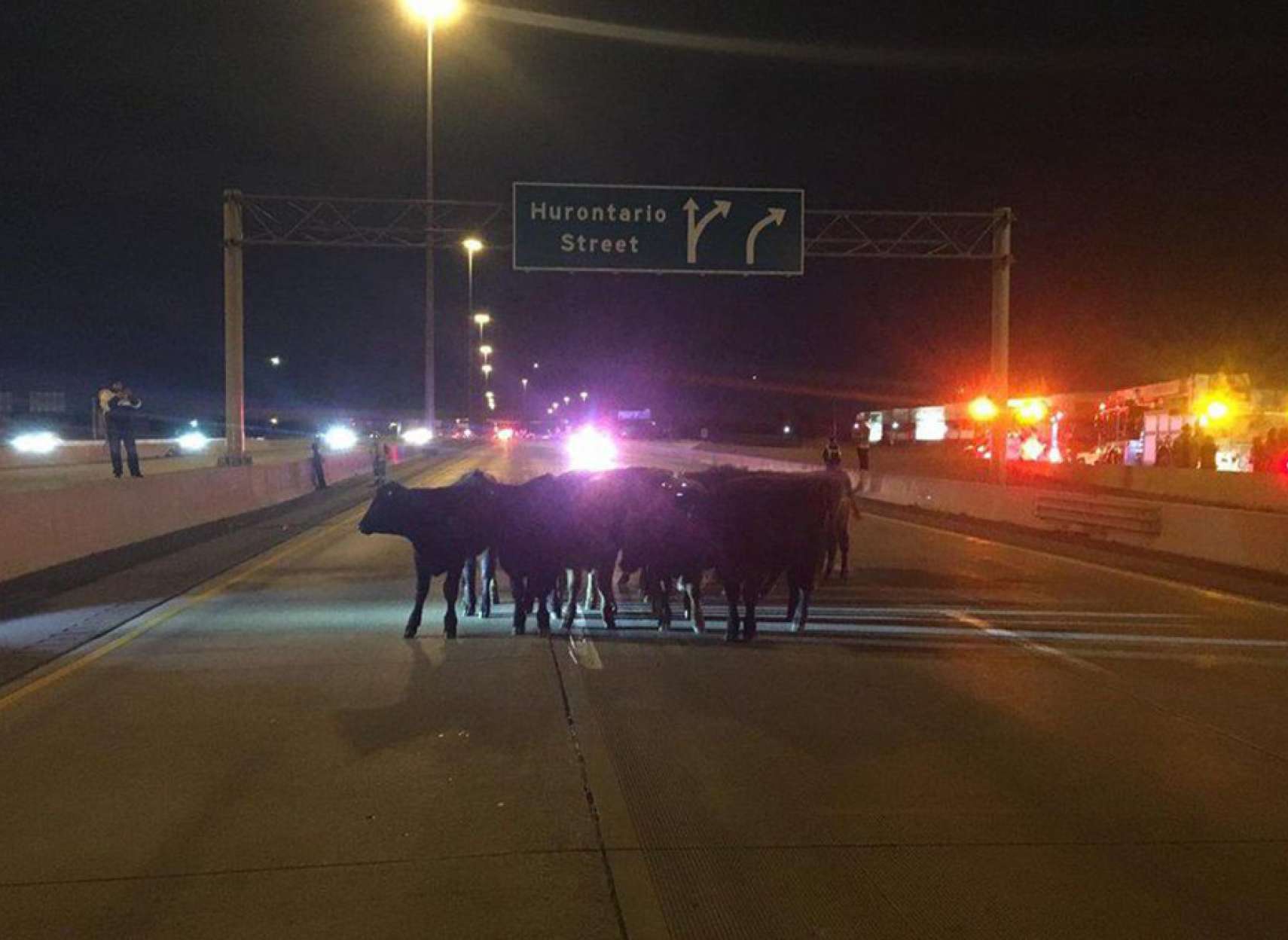 news-gav-401-bastand