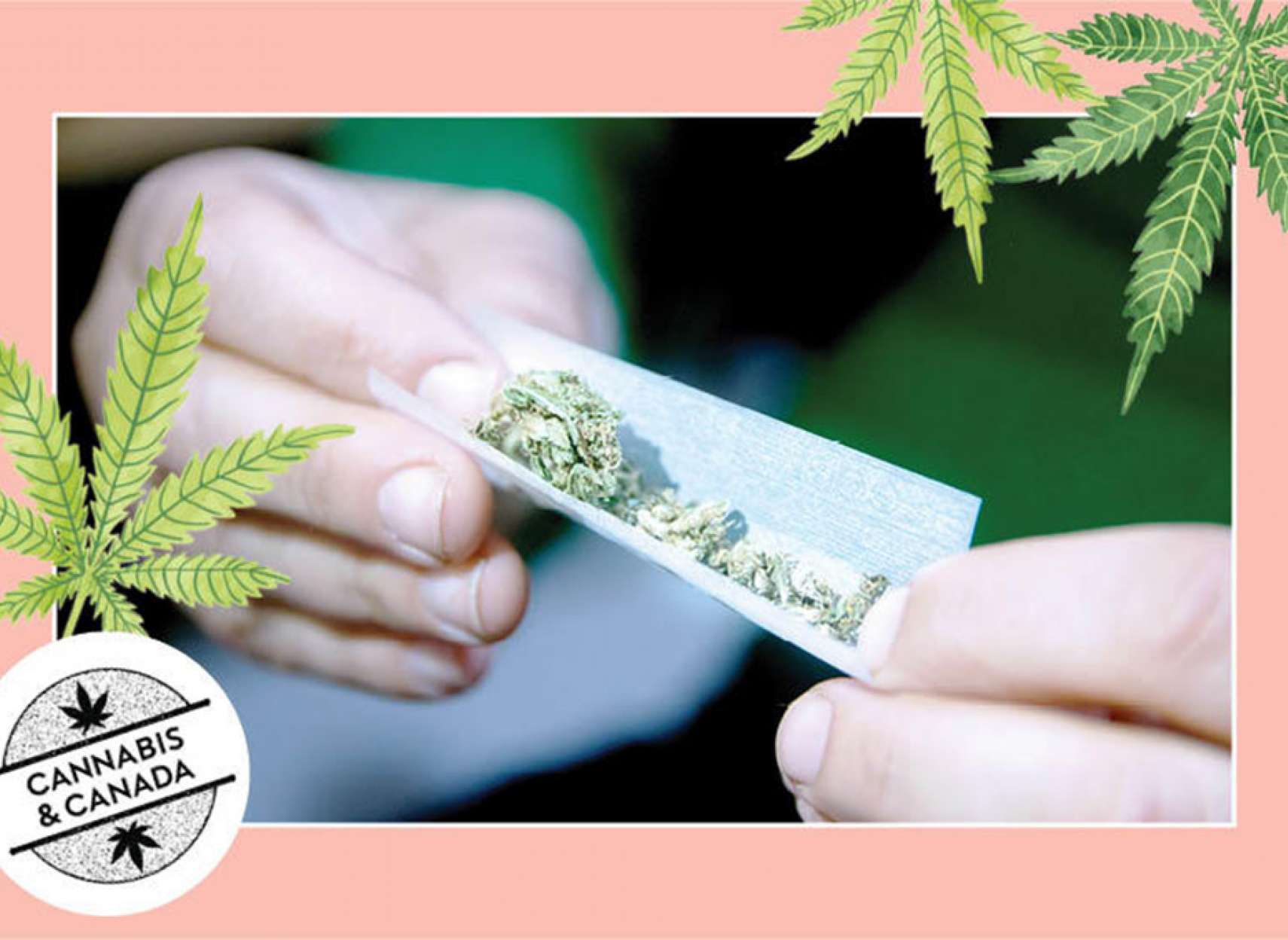 news-marijoana-hameh-chiz