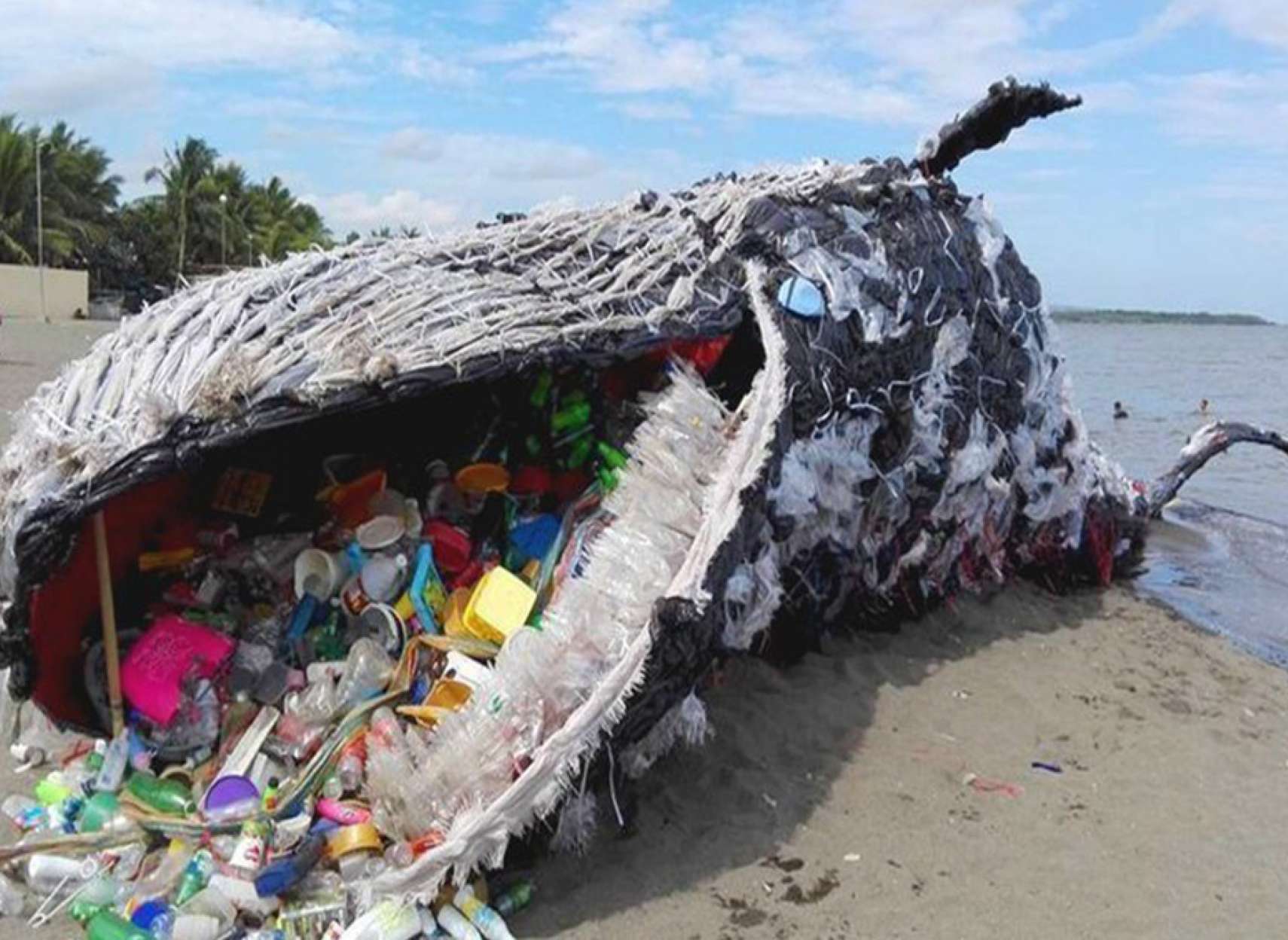 news-montreal-ban-plastic