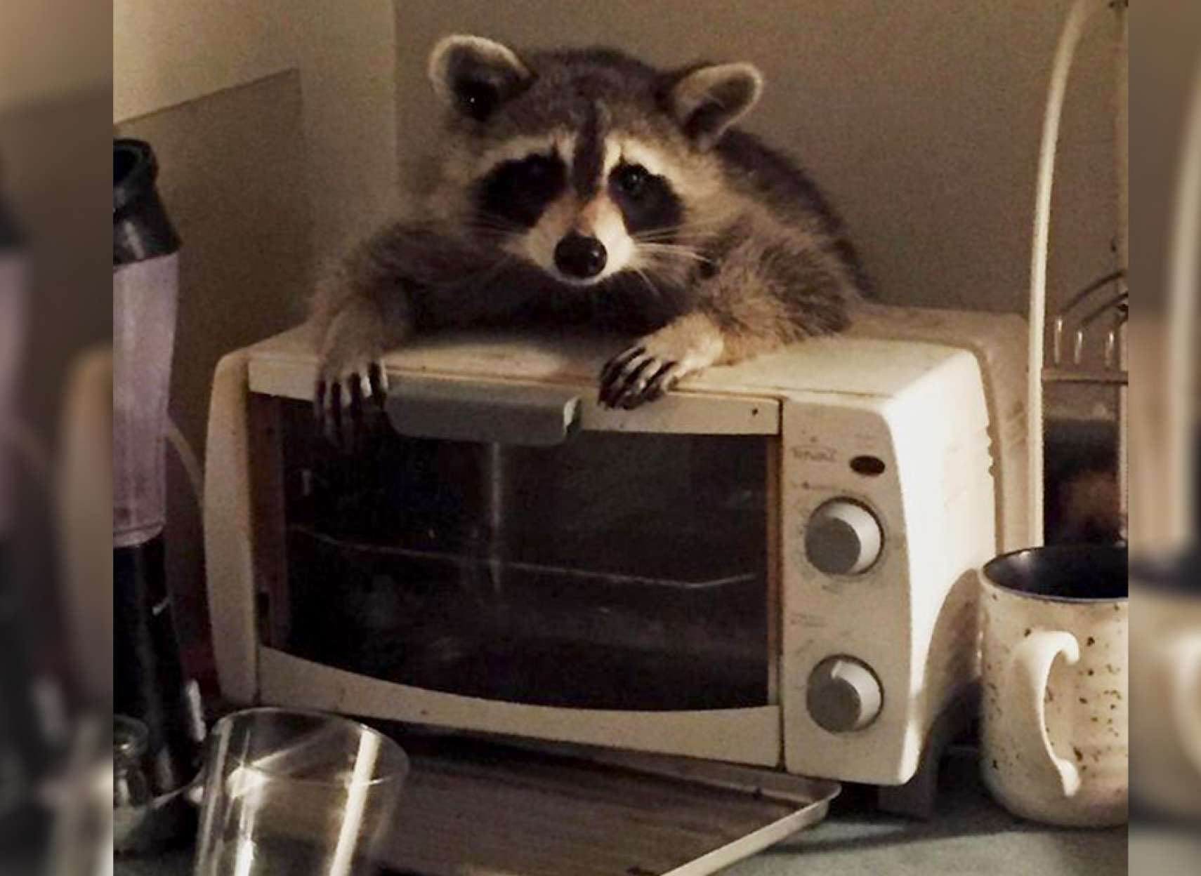 news-racon-hamleh-khaneh