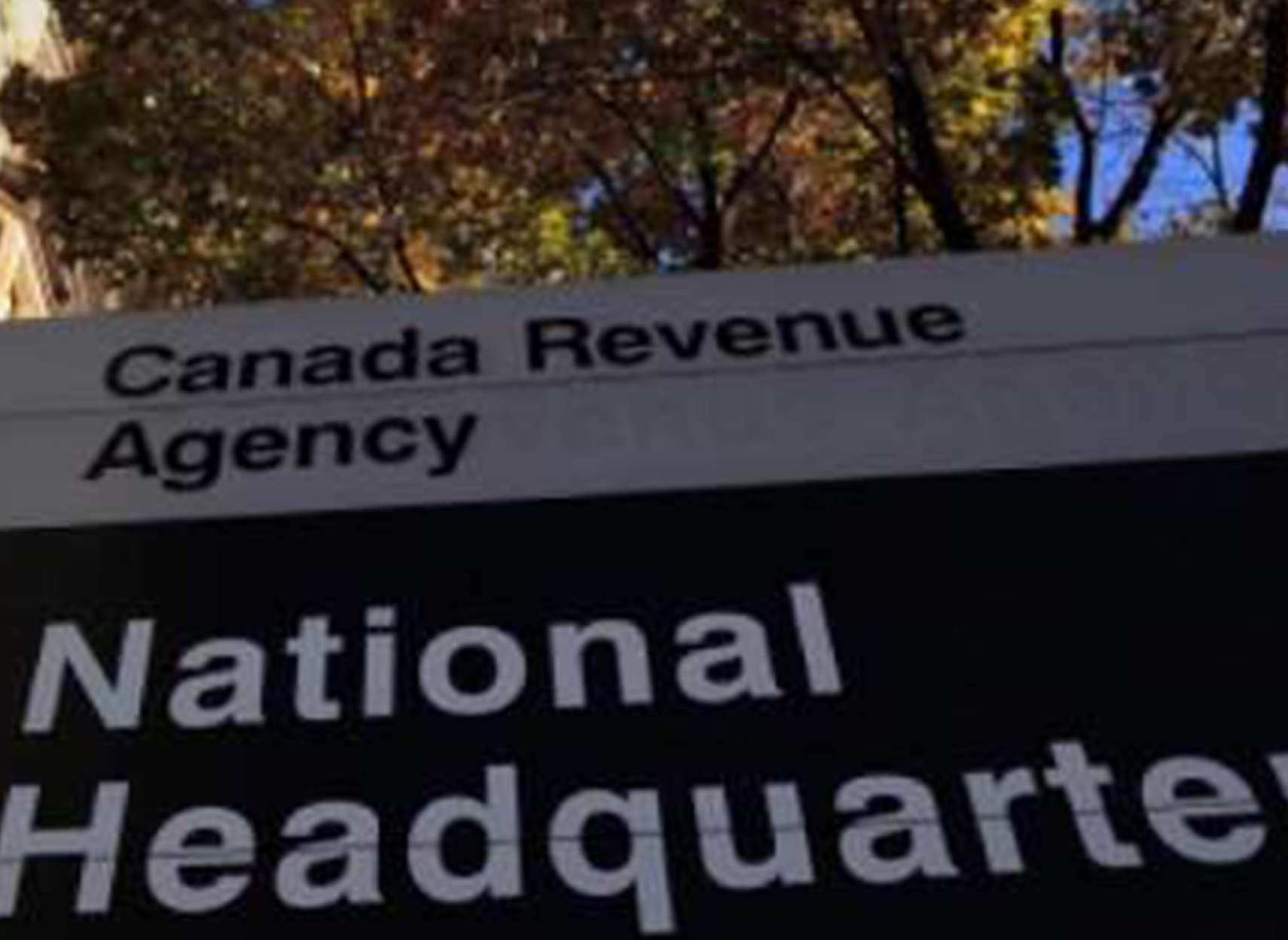 news-system-id-jadid-canada