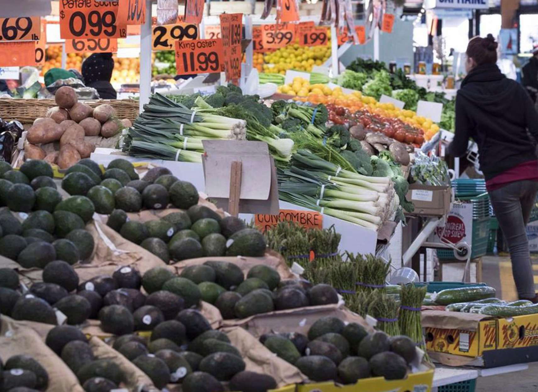 news-tavarom-gerani-canada